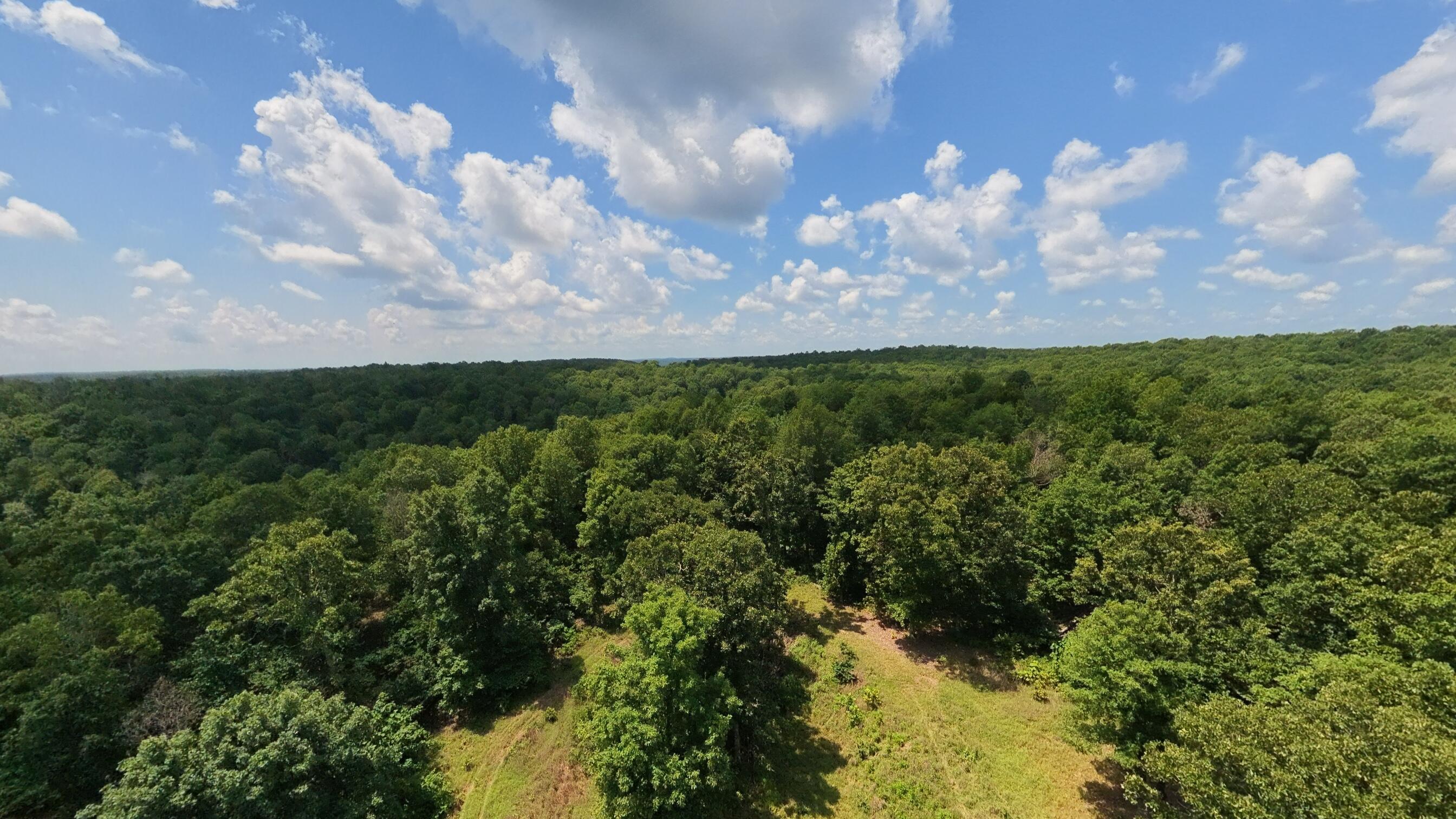 10824 Upper Janes Creek Road Property Photo 1