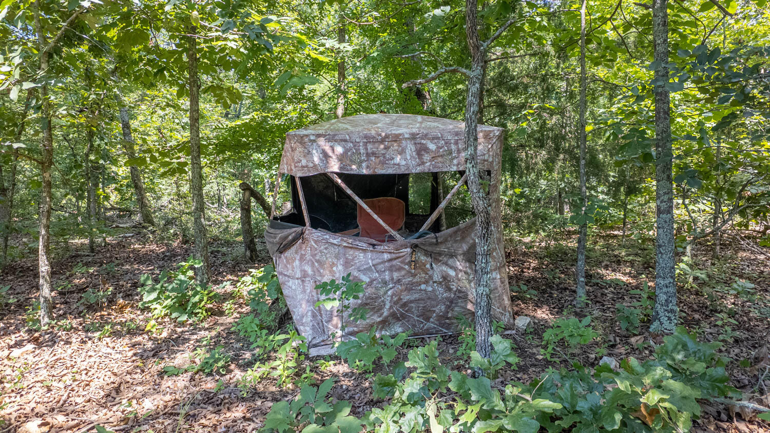 10824 Upper Janes Creek Road Property Photo 15