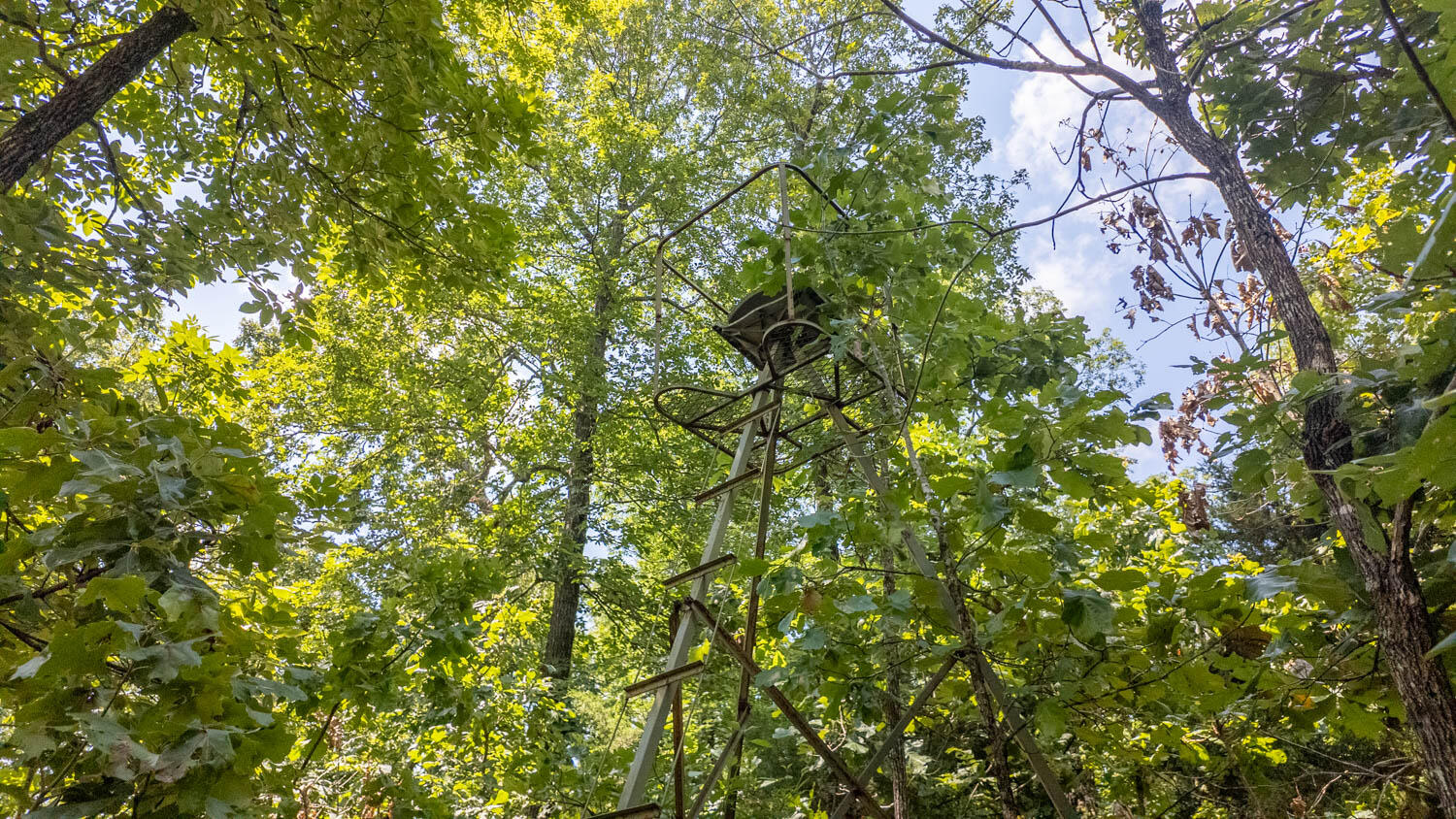 10824 Upper Janes Creek Road Property Photo 17