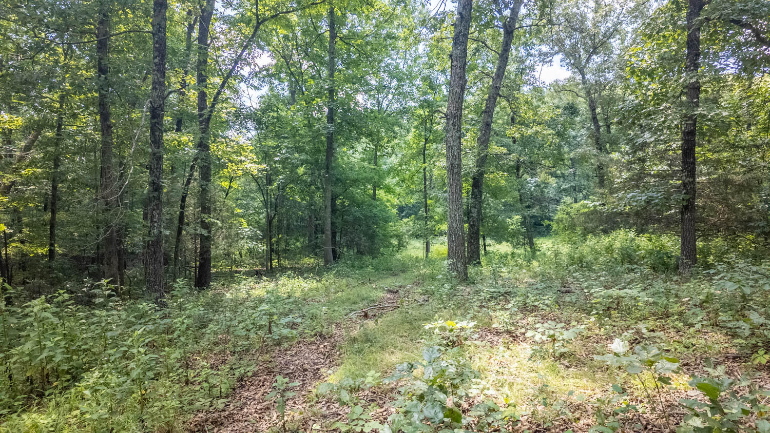 10824 Upper Janes Creek Road Property Photo 19