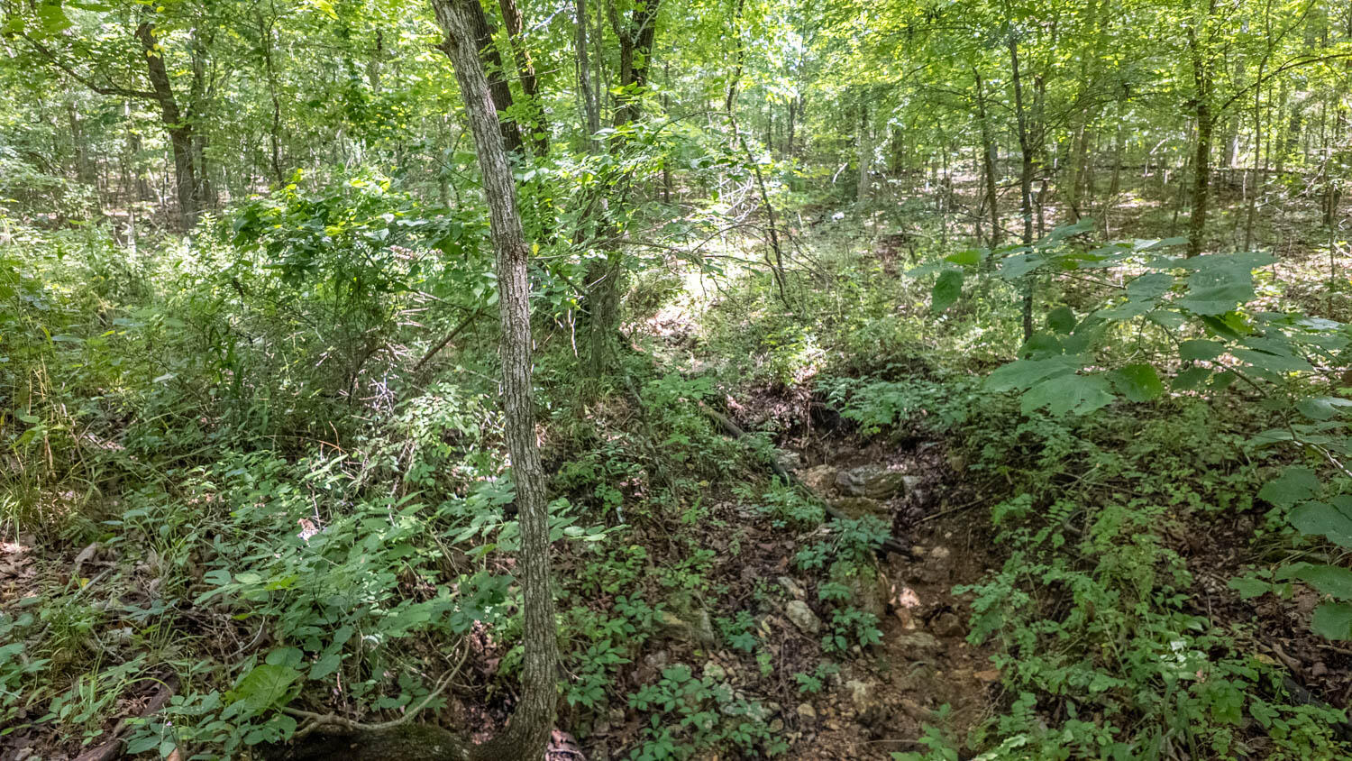 10824 Upper Janes Creek Road Property Photo 21