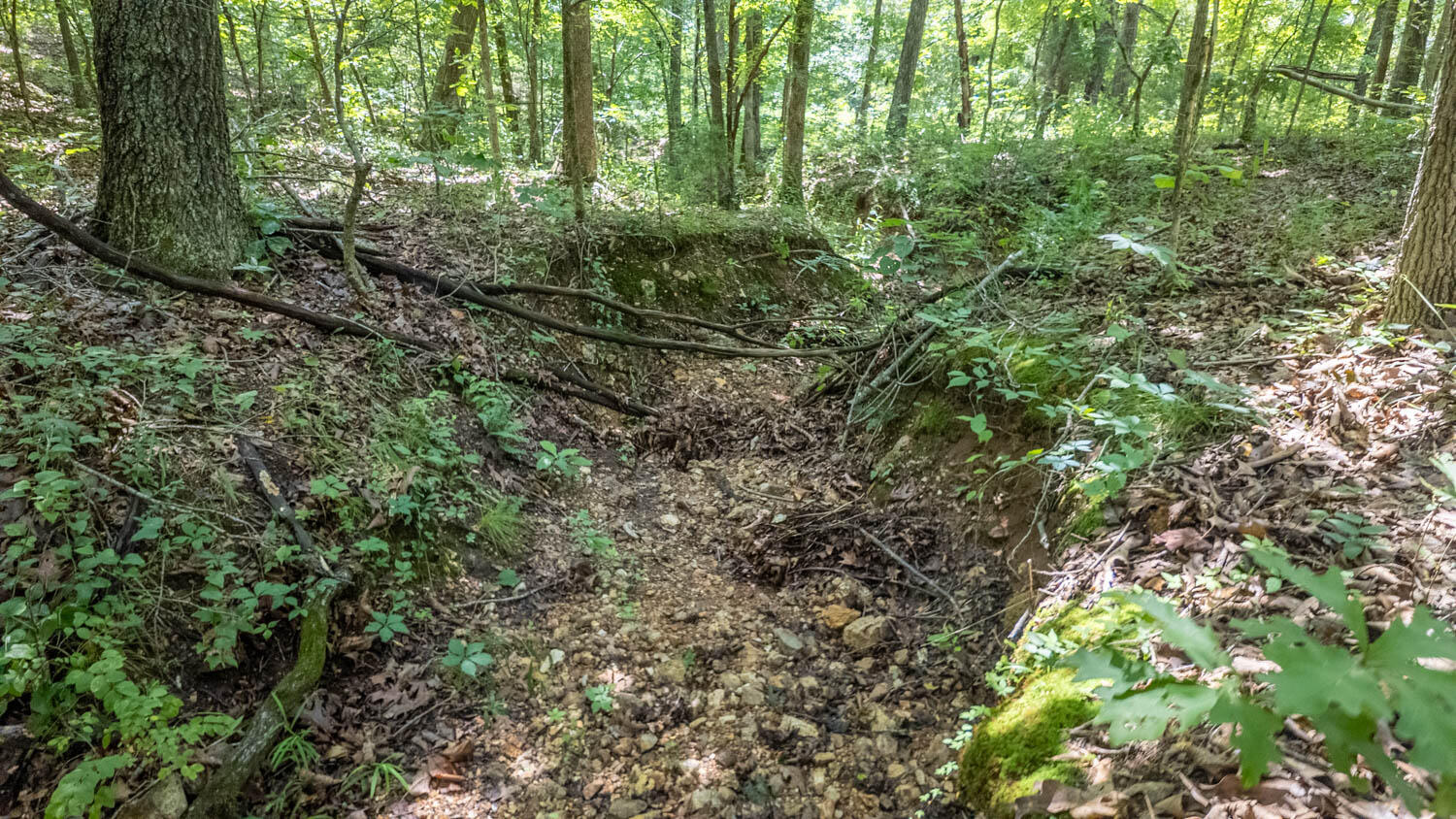10824 Upper Janes Creek Road Property Photo 22