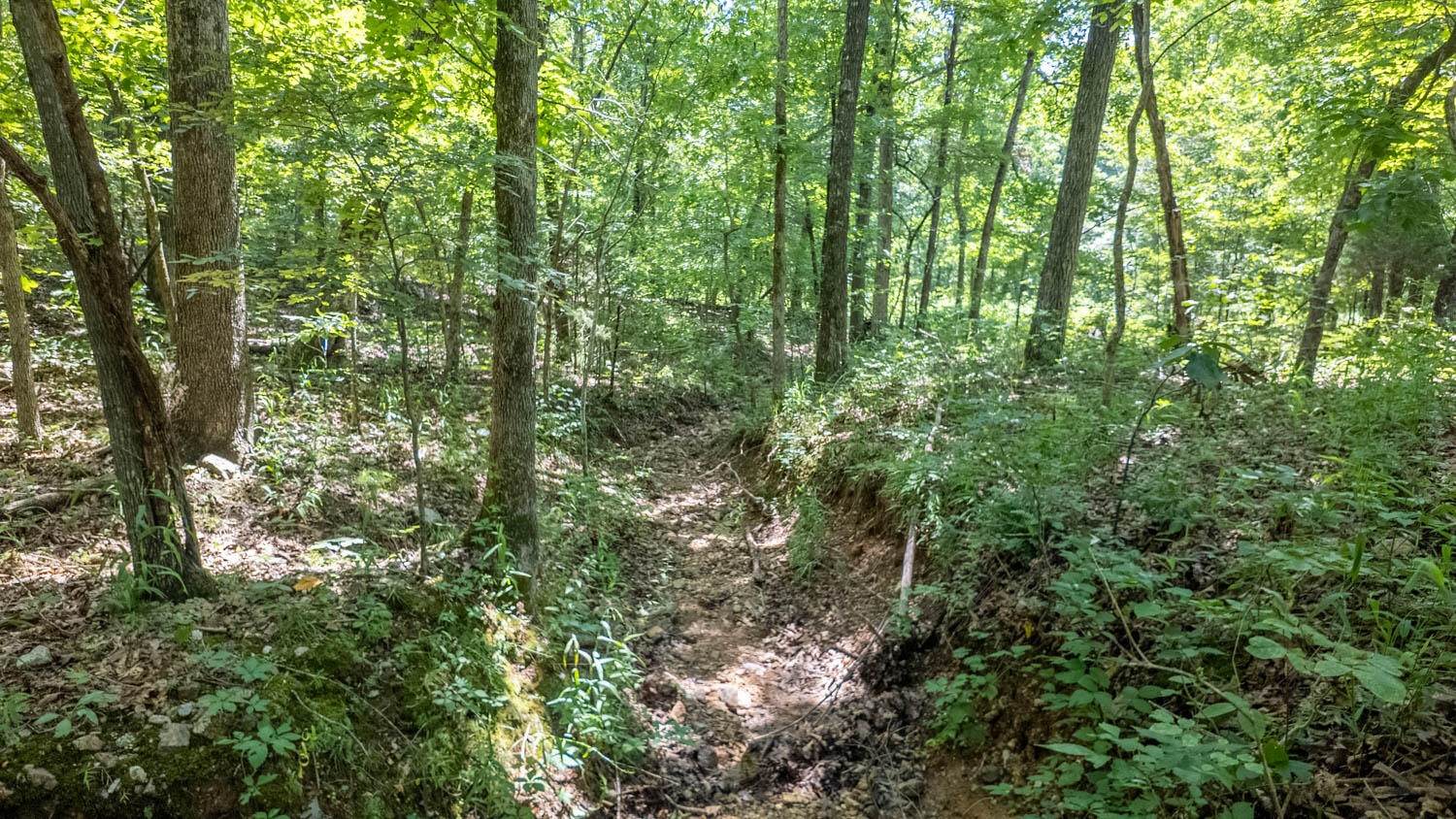 10824 Upper Janes Creek Road Property Photo 23