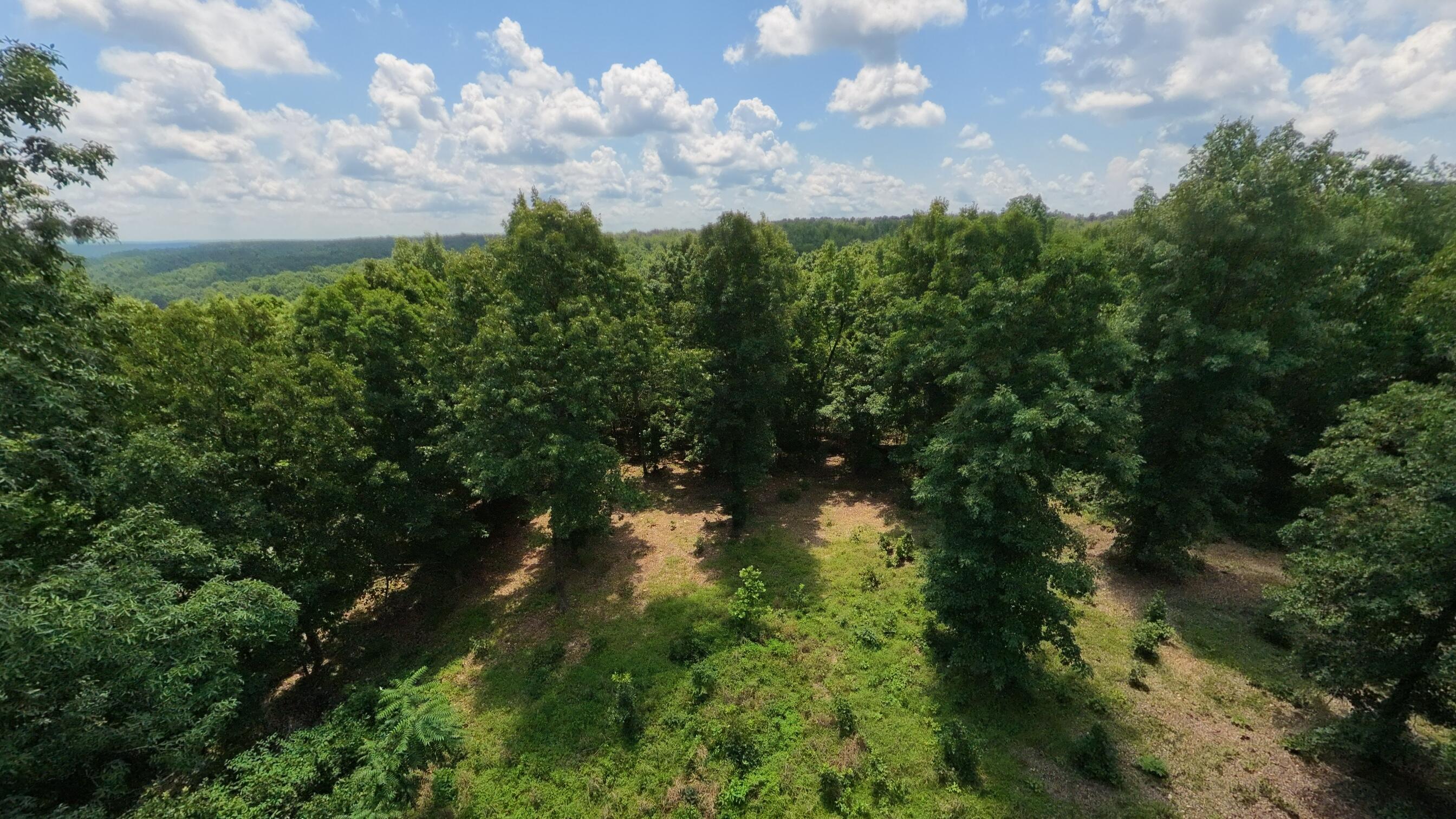 10824 Upper Janes Creek Road Property Photo 49