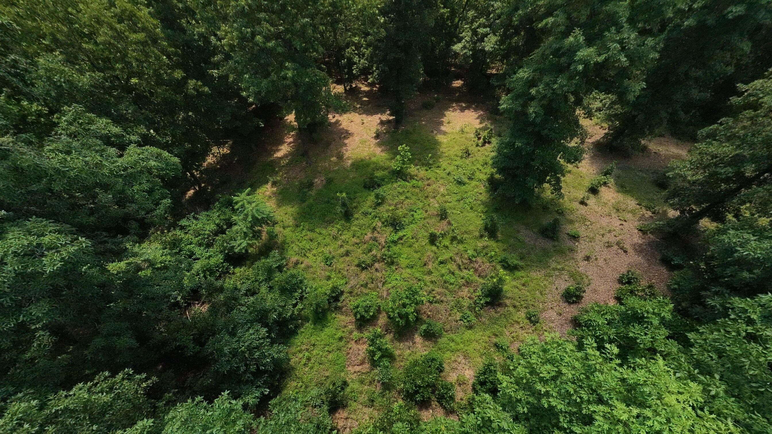 10824 Upper Janes Creek Road Property Photo 50