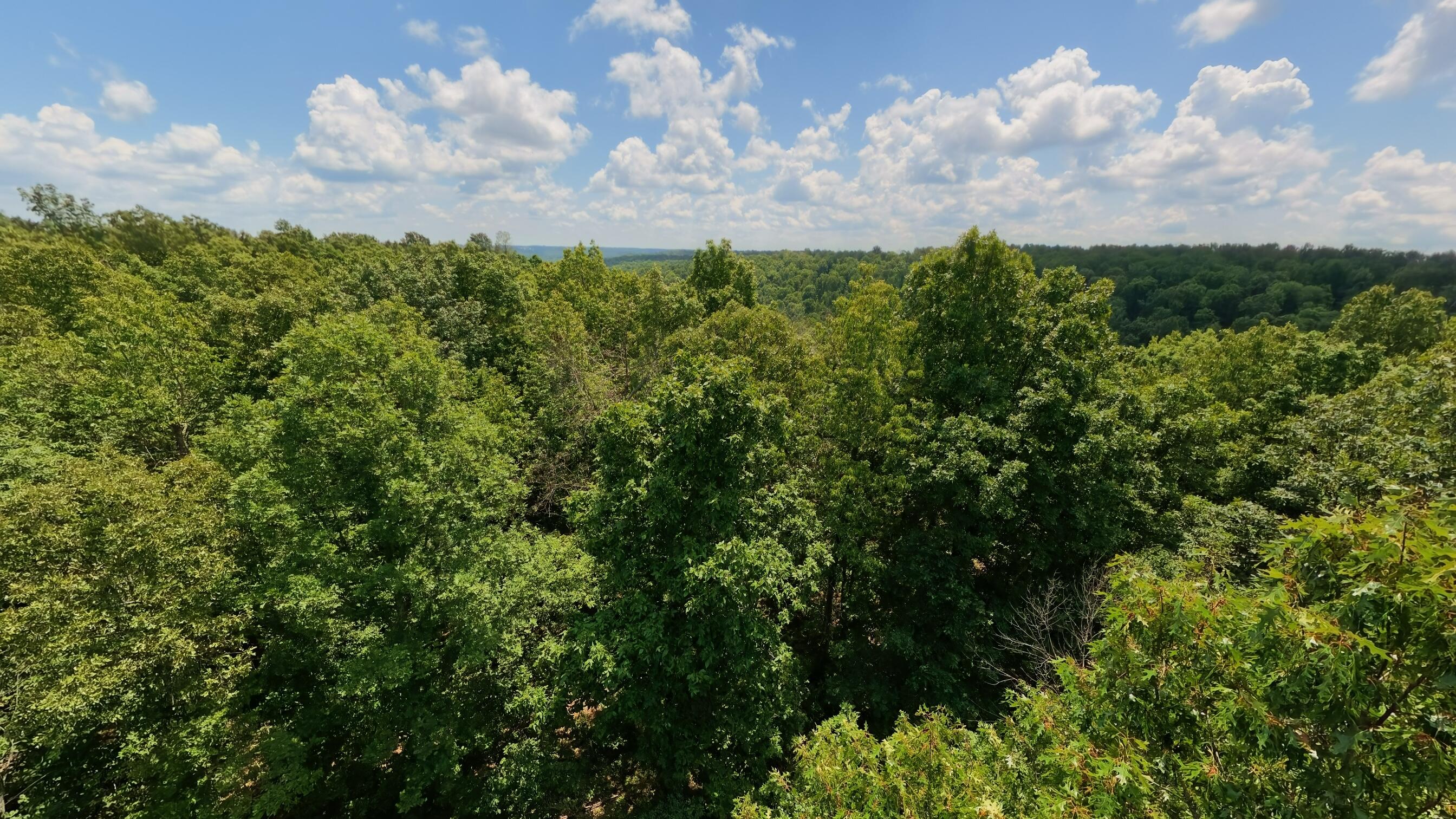 10824 Upper Janes Creek Road Property Photo 59