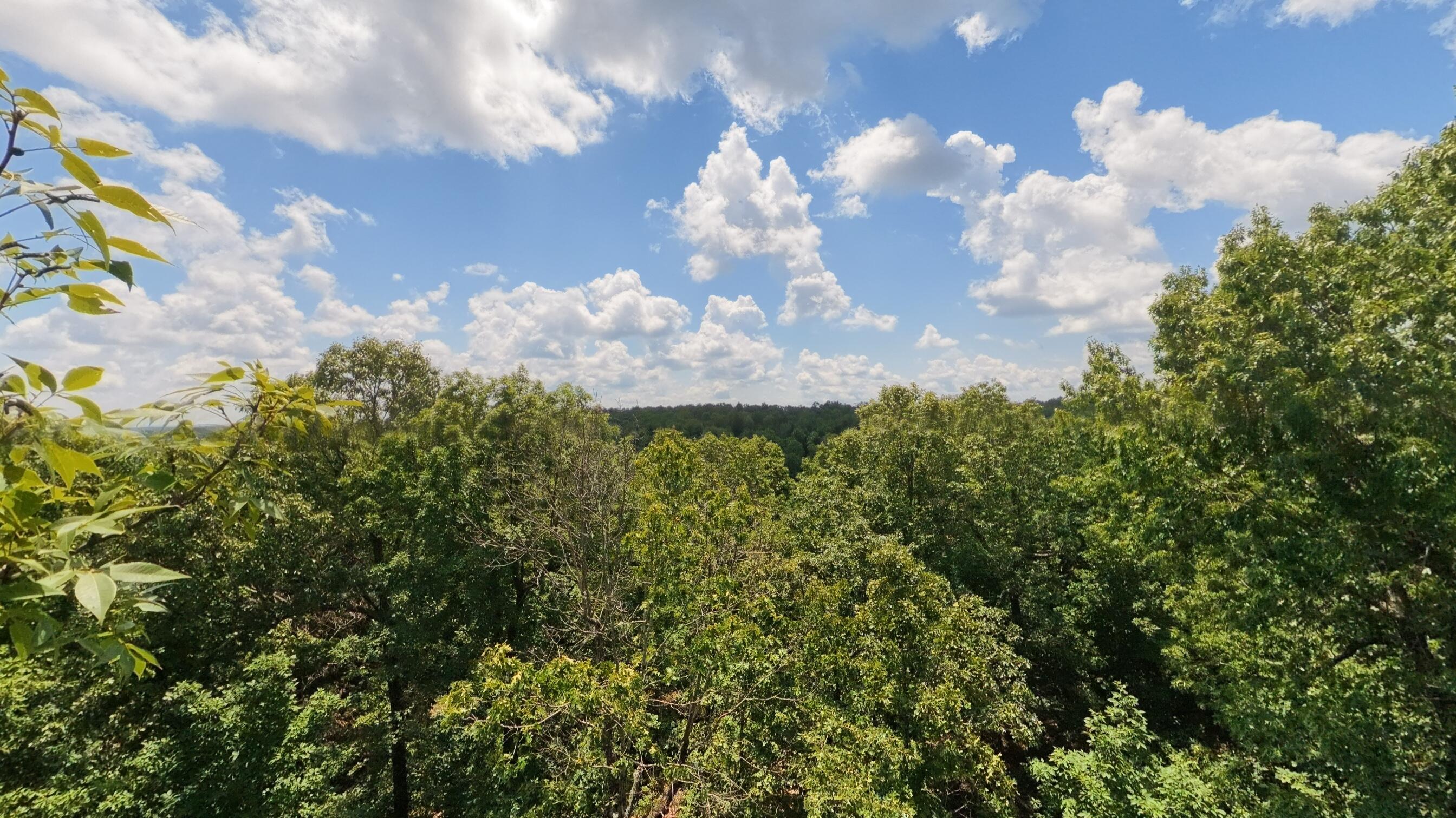 10824 Upper Janes Creek Road Property Photo 60