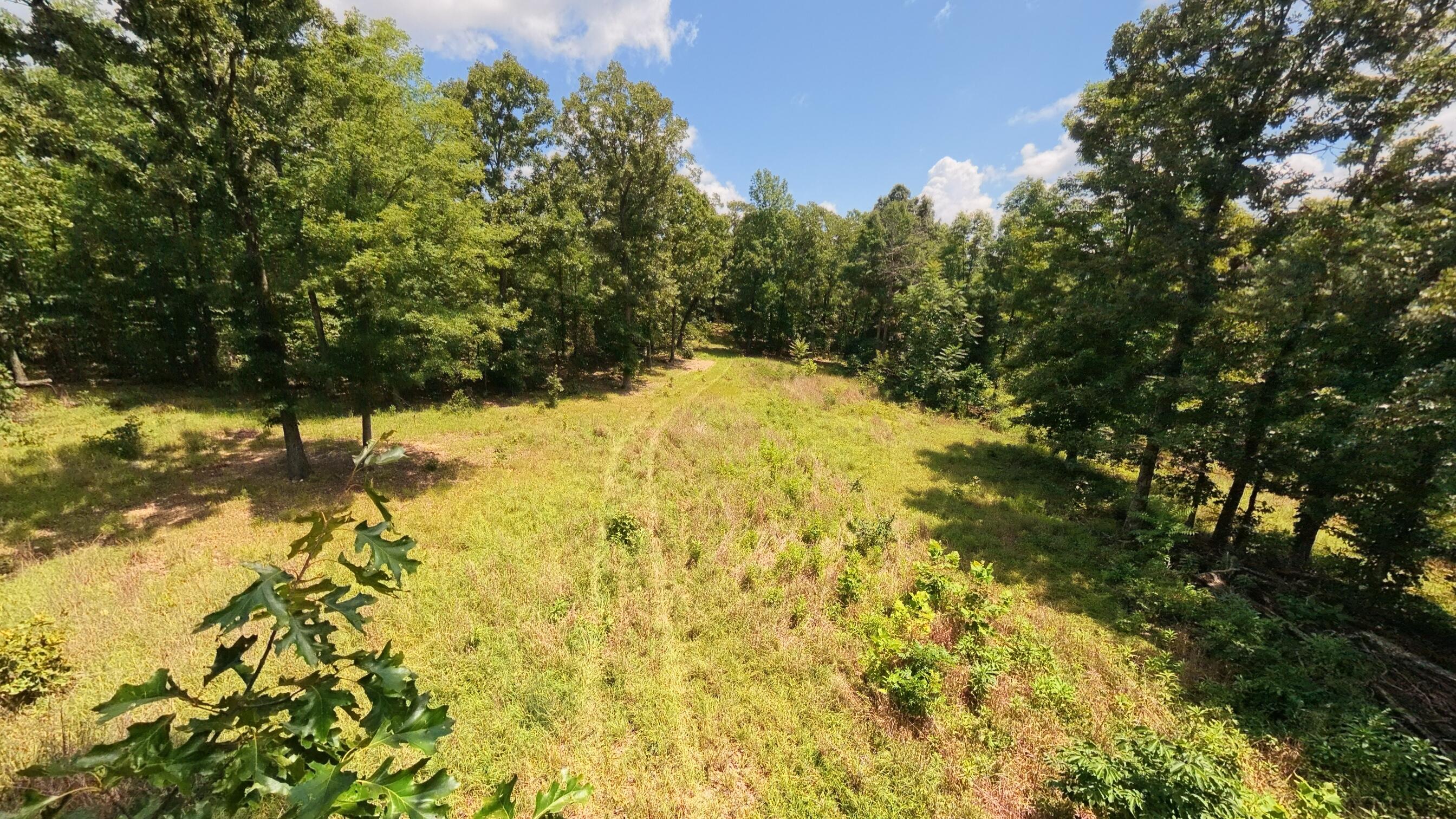 10824 Upper Janes Creek Road Property Photo 62