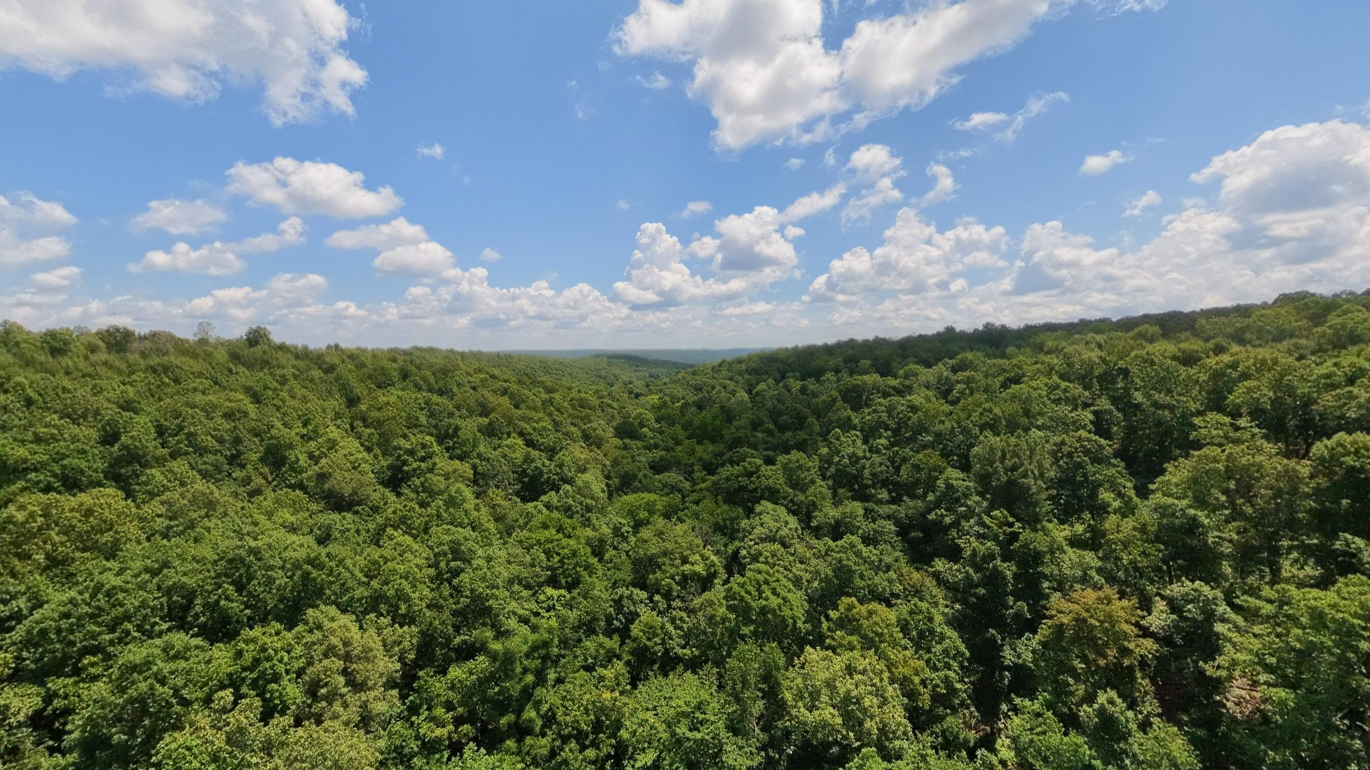 10824 Upper Janes Creek Road Property Photo 65