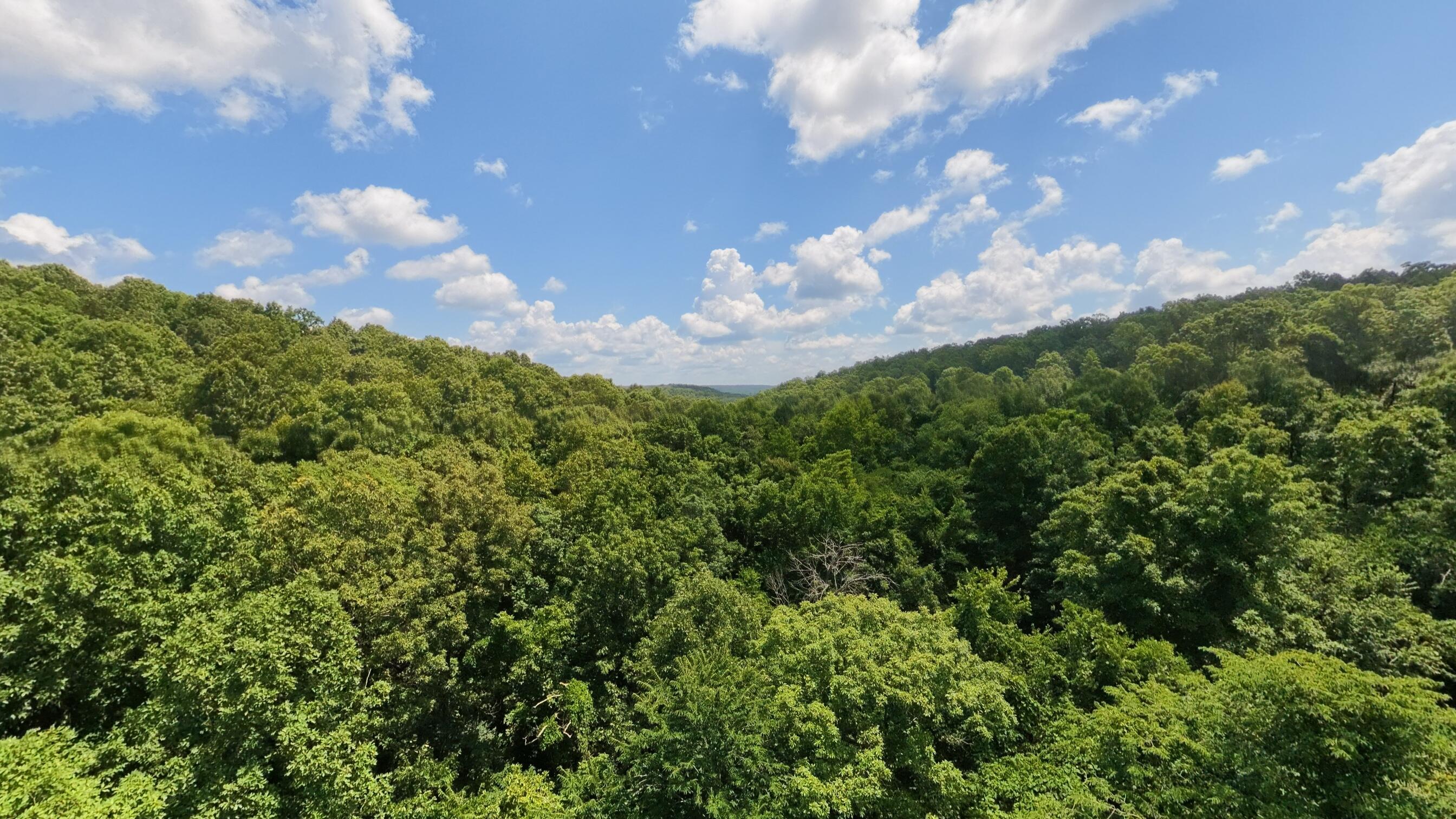 10824 Upper Janes Creek Road Property Photo 68