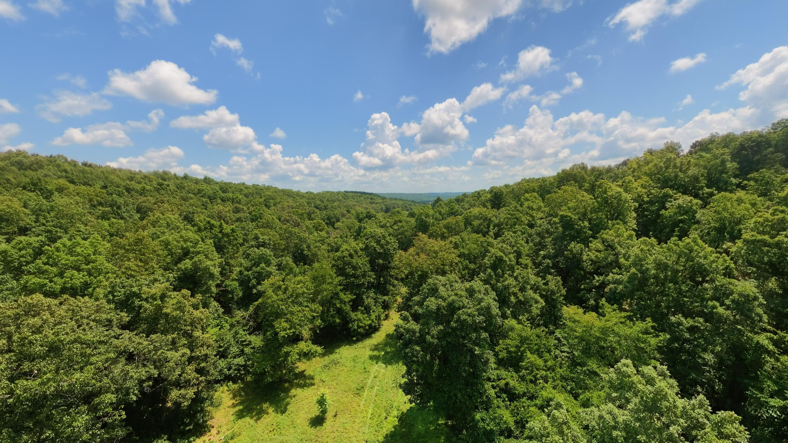 10824 Upper Janes Creek Road Property Photo 74
