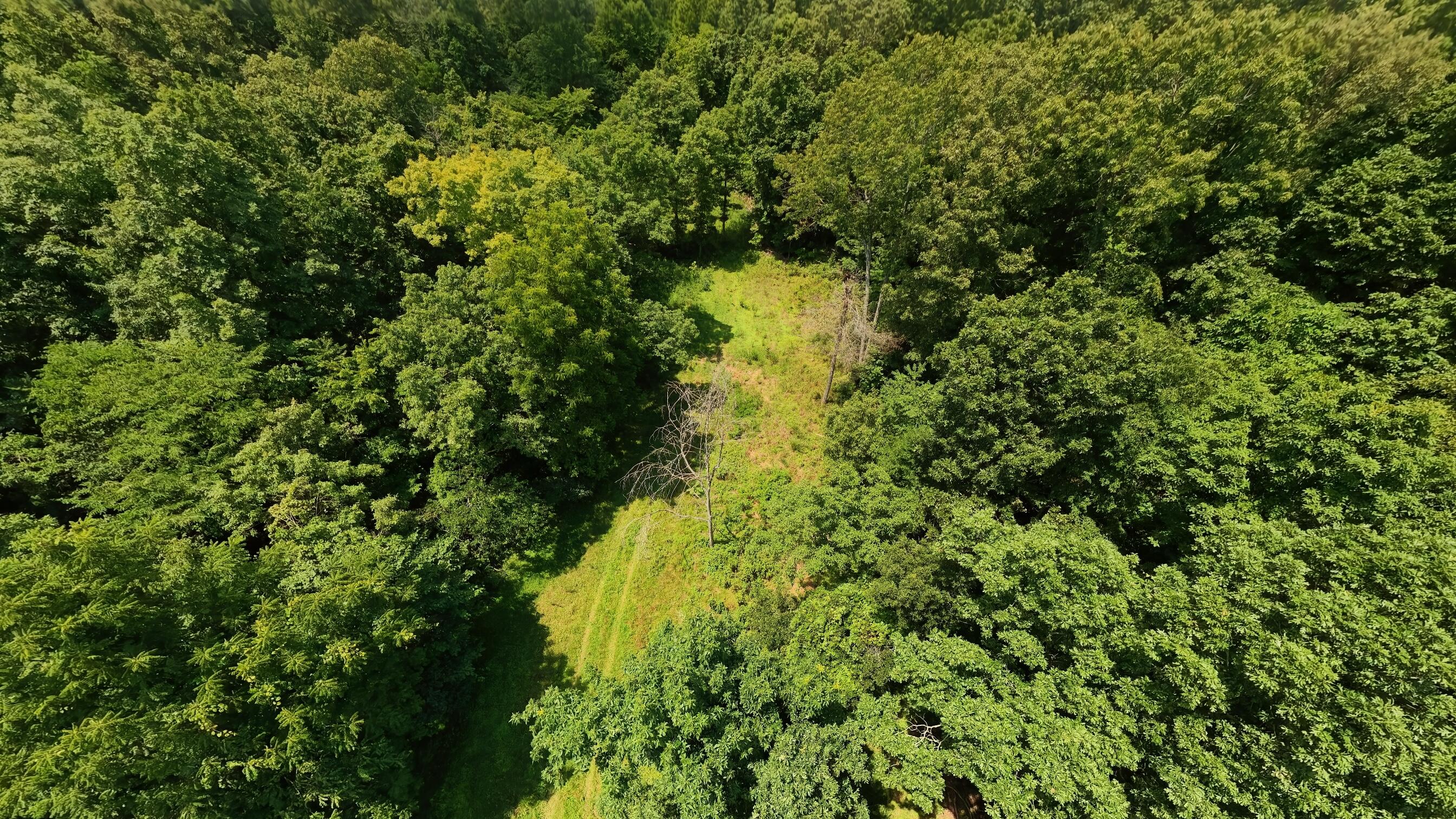 10824 Upper Janes Creek Road Property Photo 75