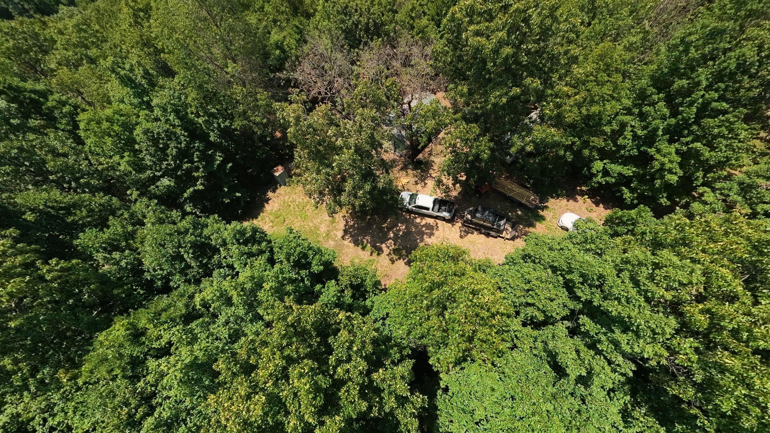 10824 Upper Janes Creek Road Property Photo 79