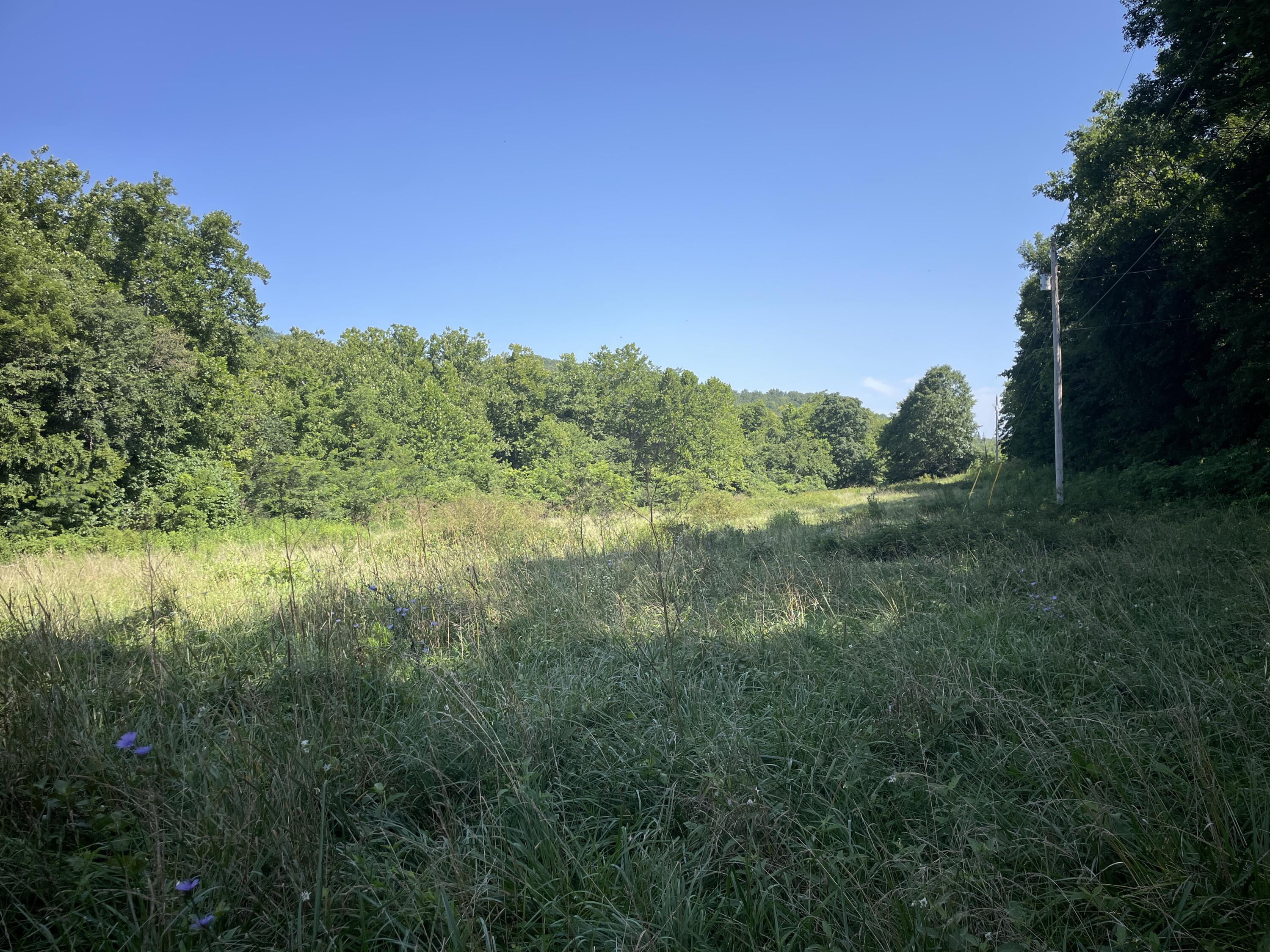 16569 Co Road 14-533 Property Photo 3