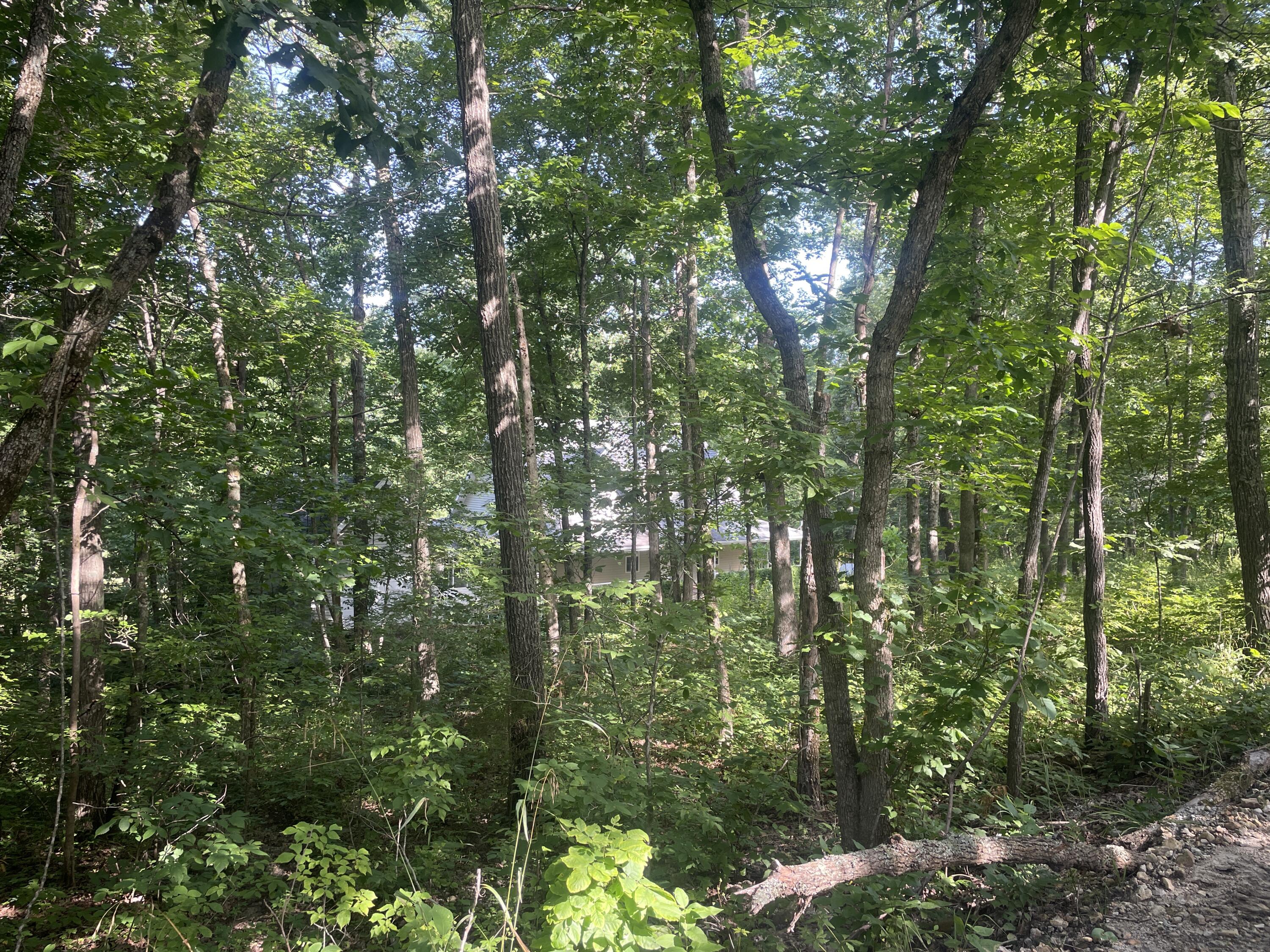 16569 Co Road 14-533 Property Photo 58