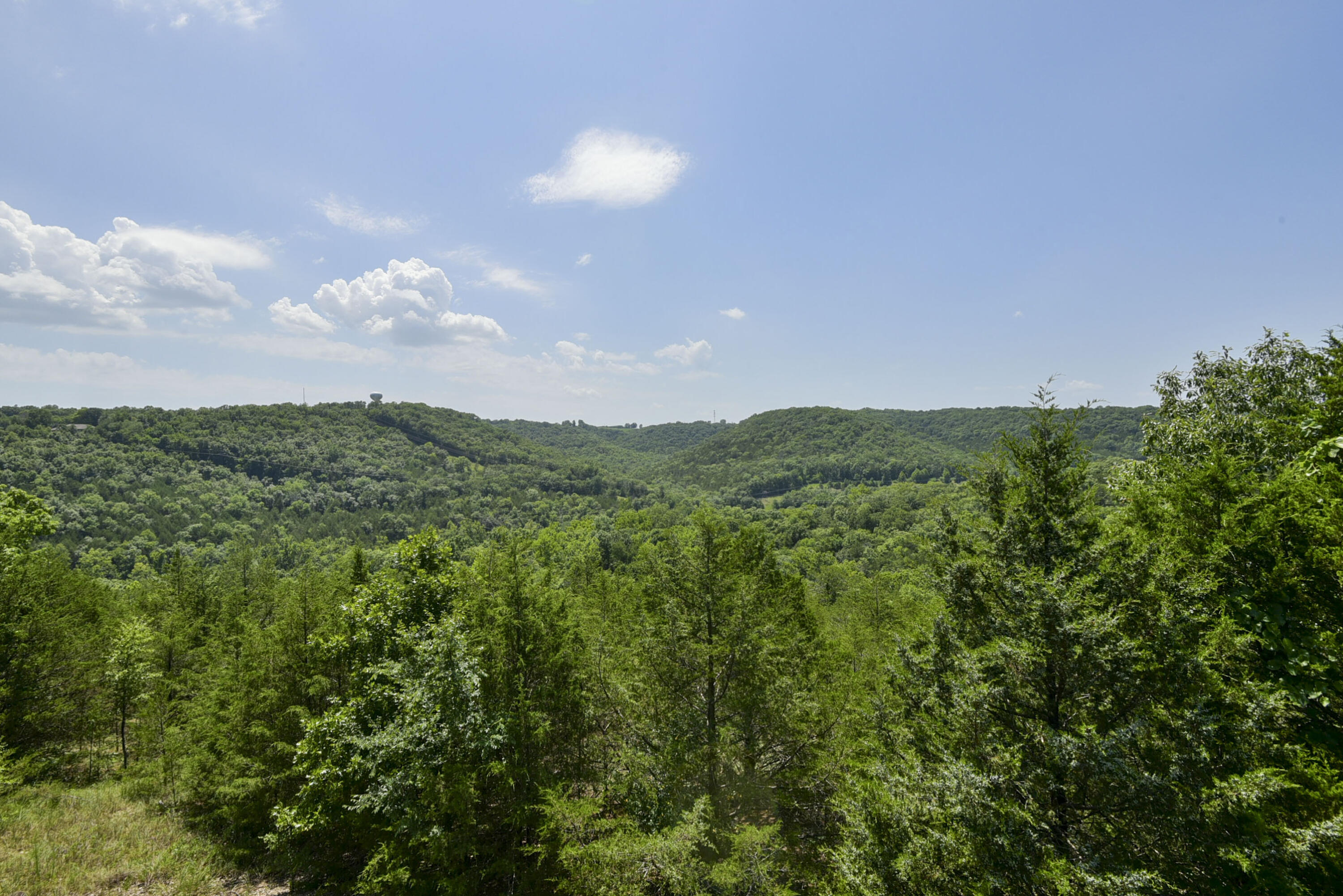 880 Black Forest Lane Property Photo 40