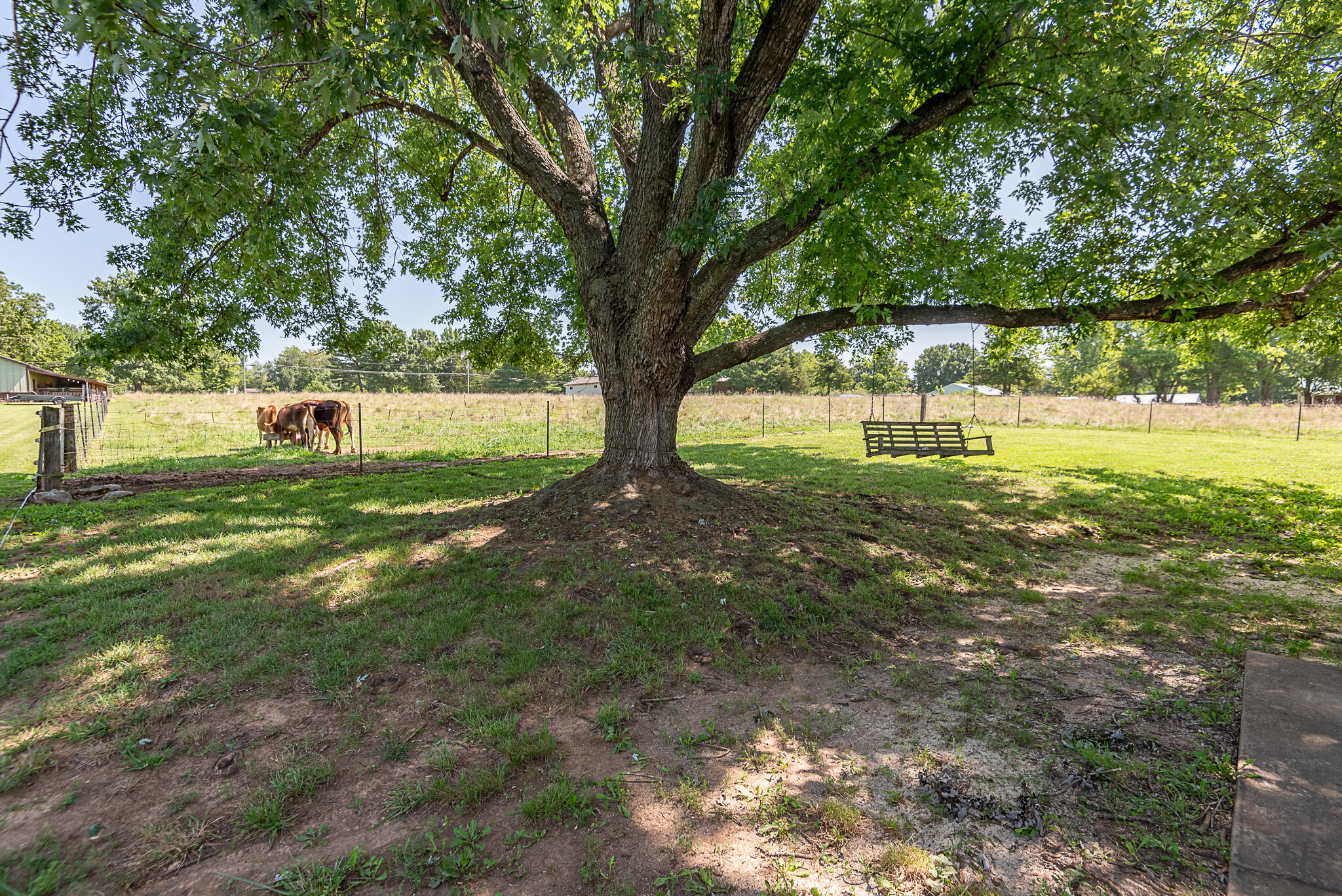 1905 East Webb Road Property Photo 12