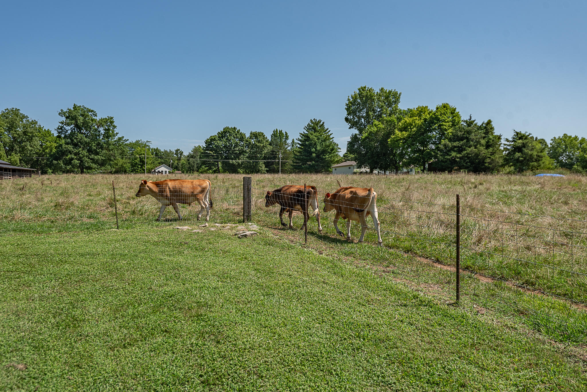 1905 East Webb Road Property Photo 69