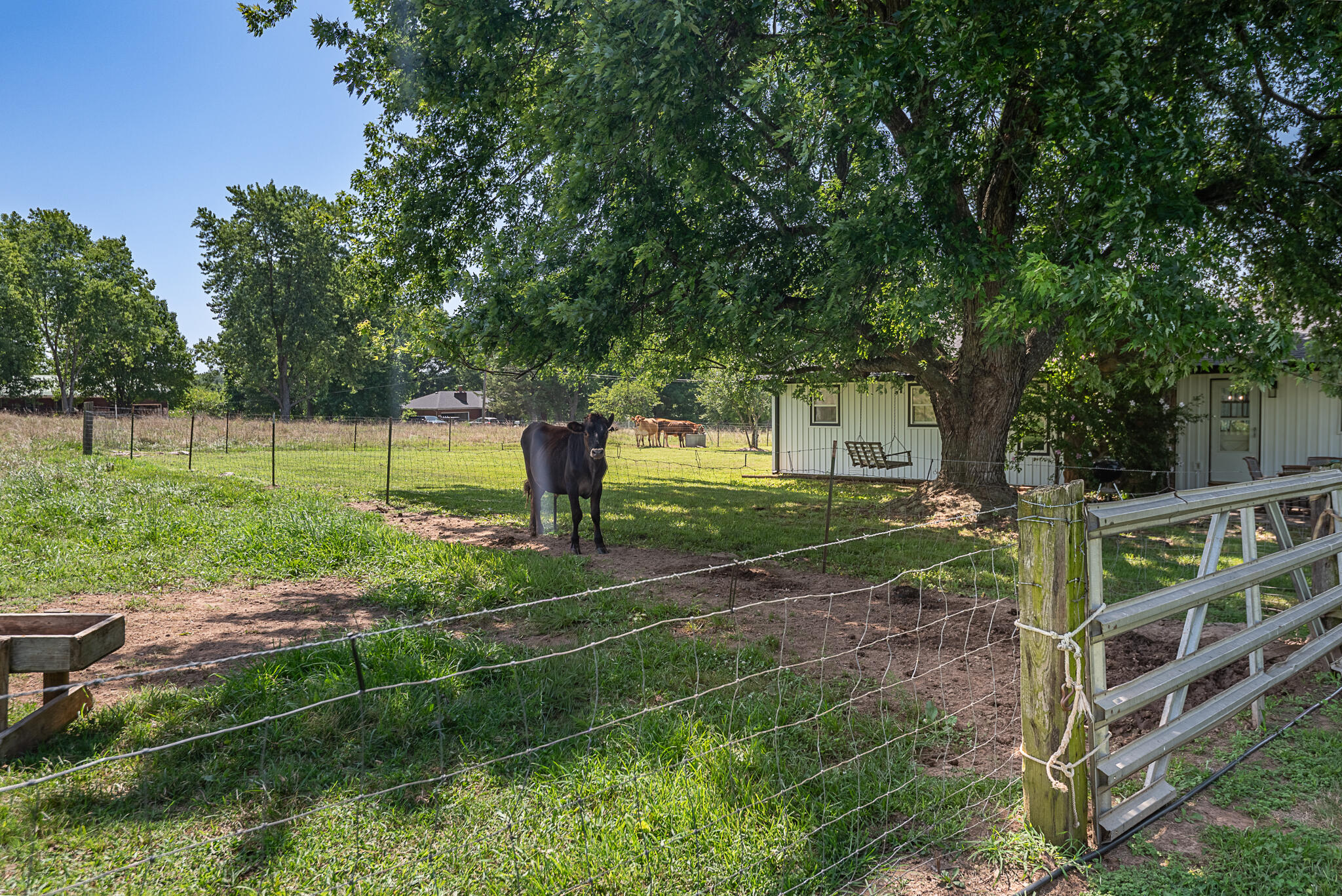1905 East Webb Road Property Photo 73