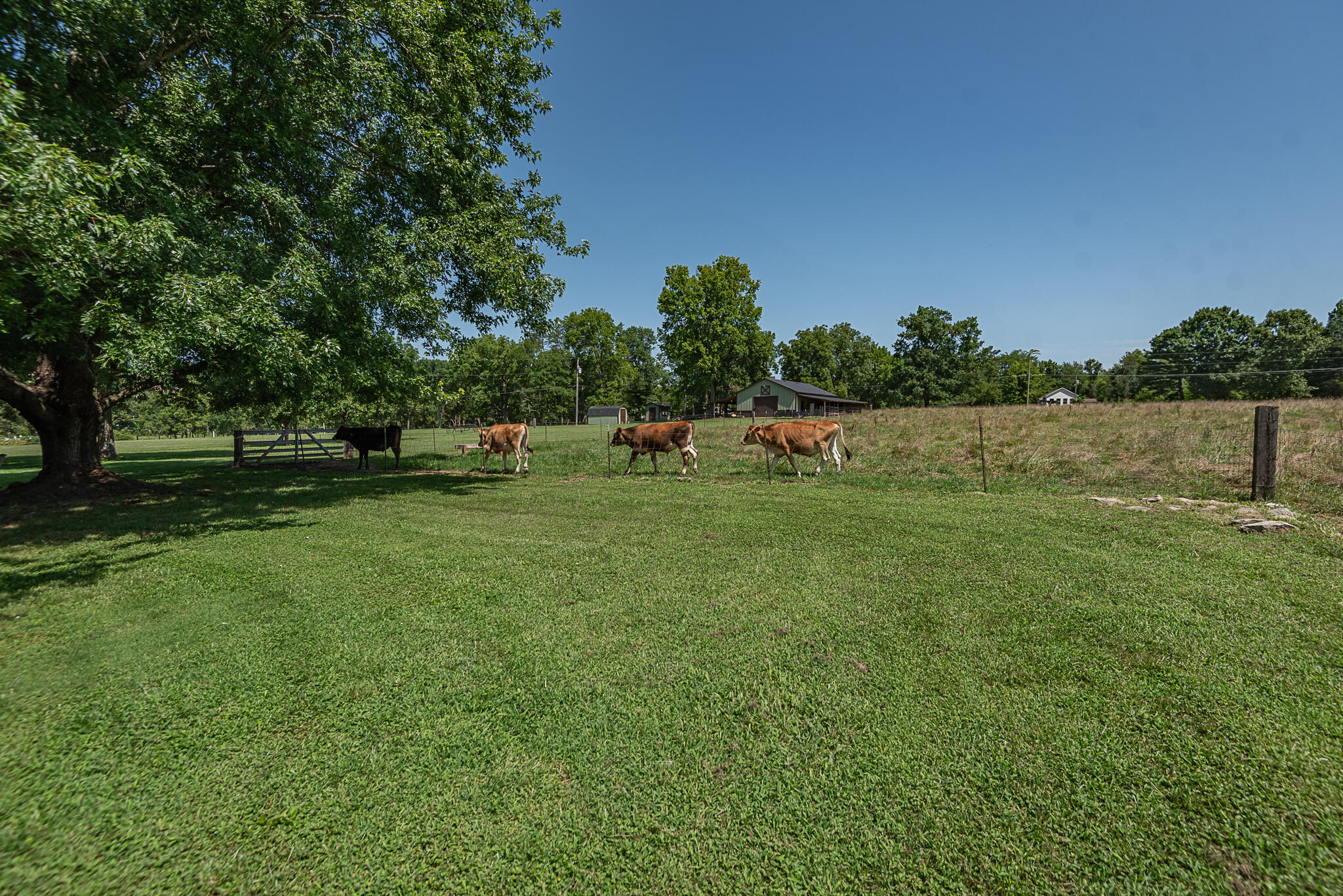 1905 East Webb Road Property Photo 74