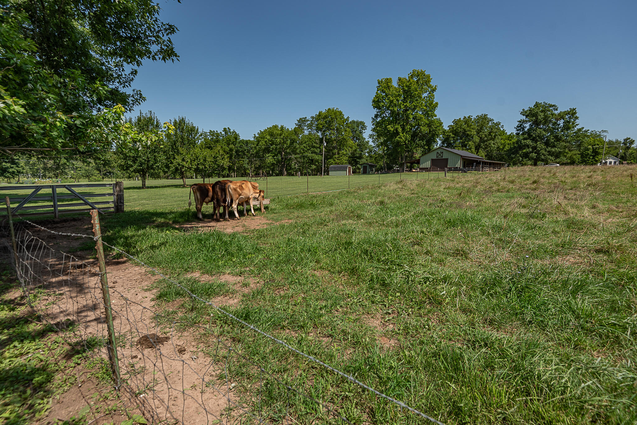 1905 East Webb Road Property Photo 78