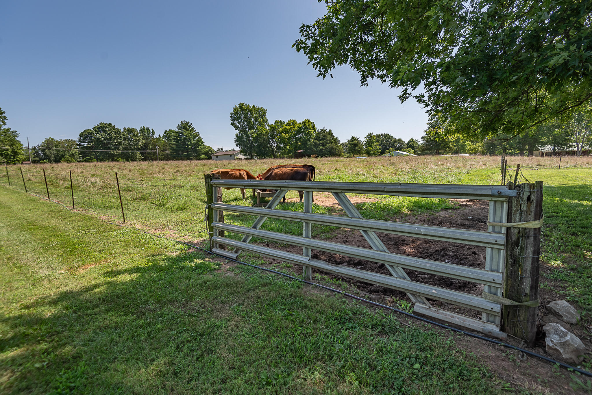 1905 East Webb Road Property Photo 79