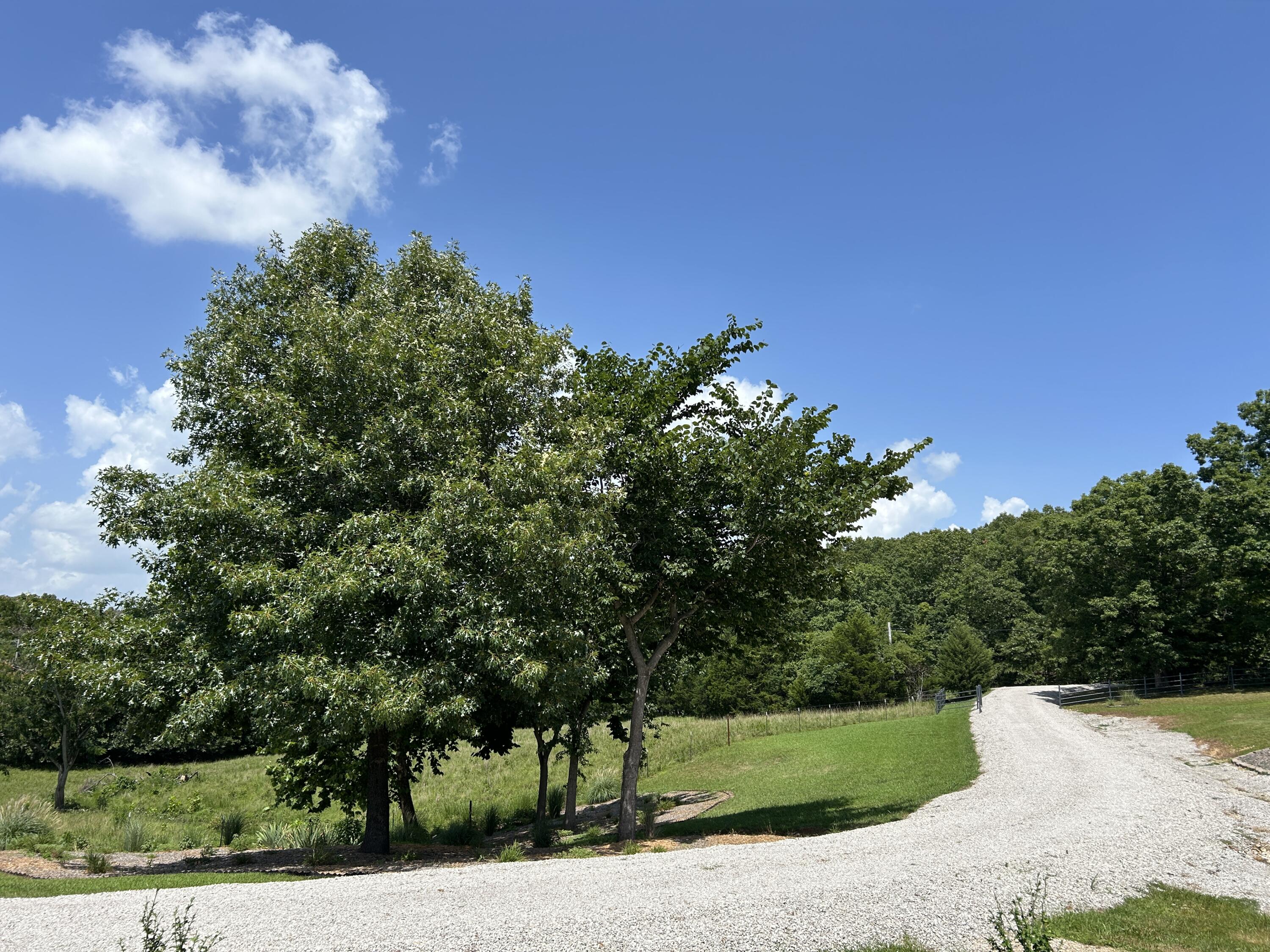 5398 County Road S5-307 Property Photo 47