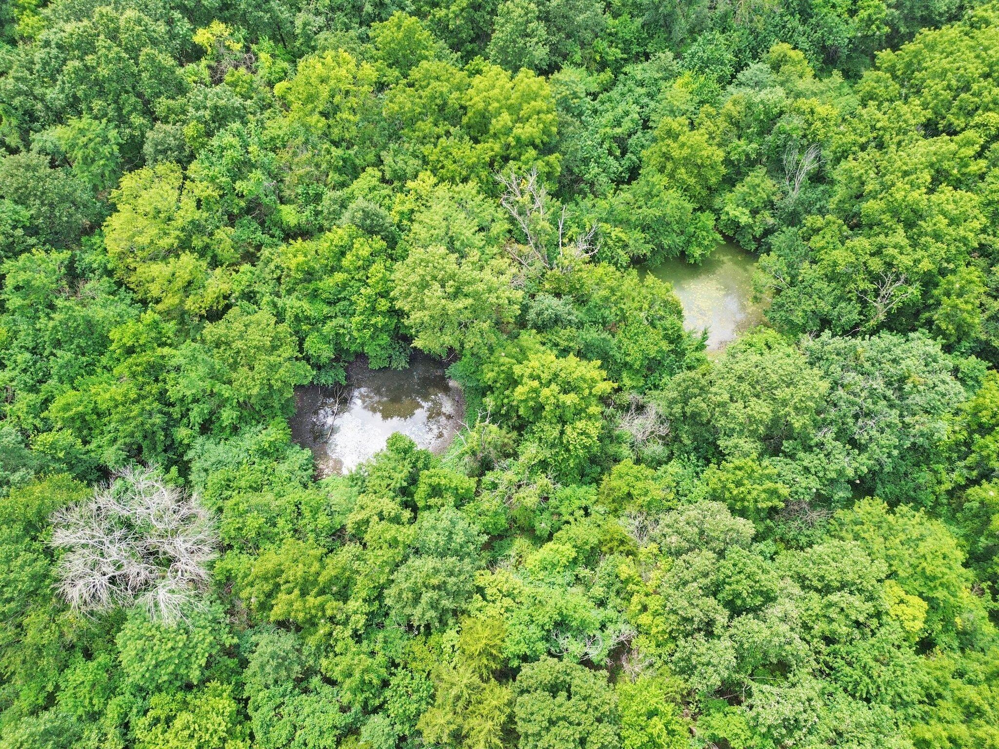 60329446 Property Photo 1