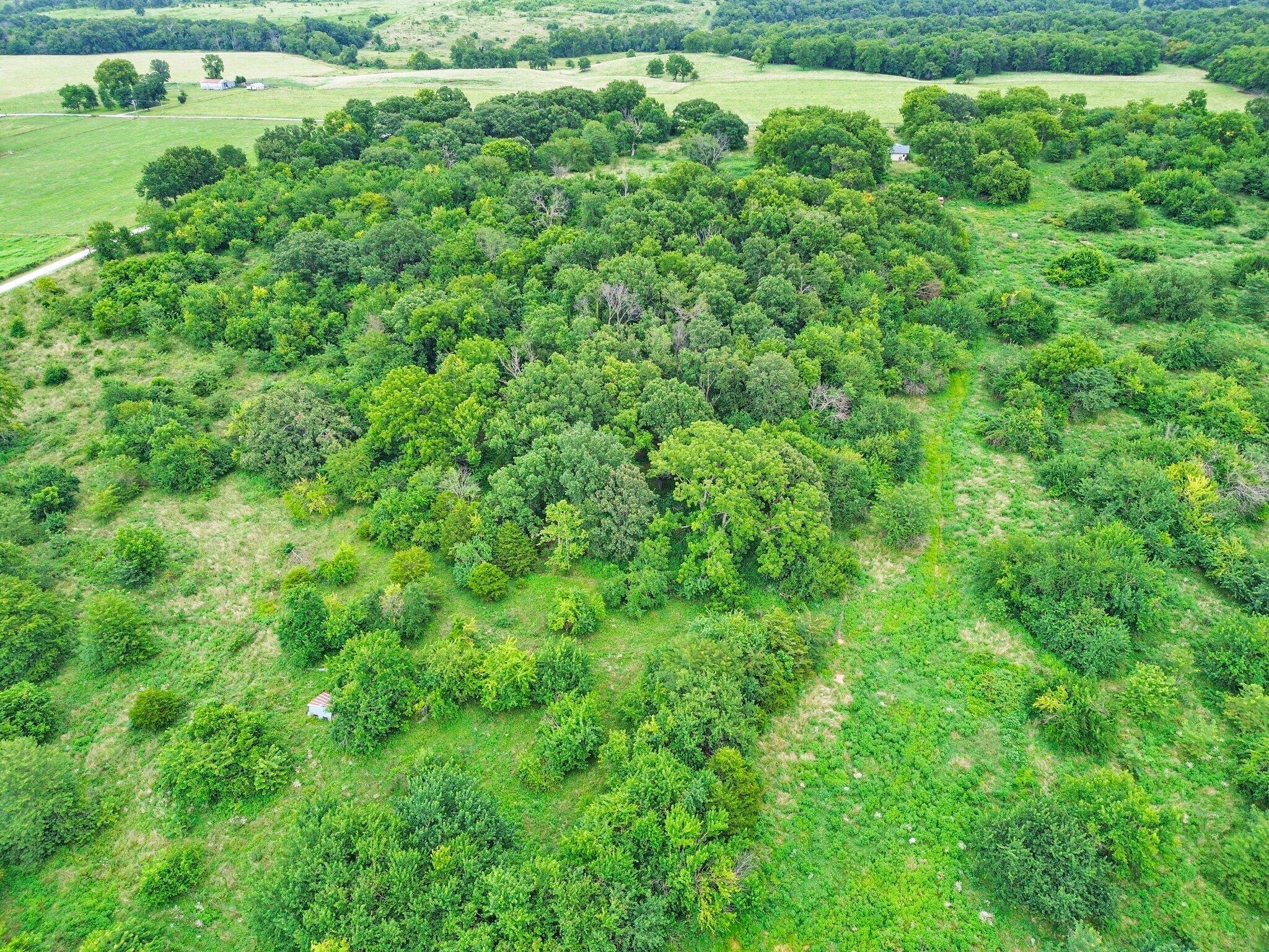 60329446 Property Photo 10