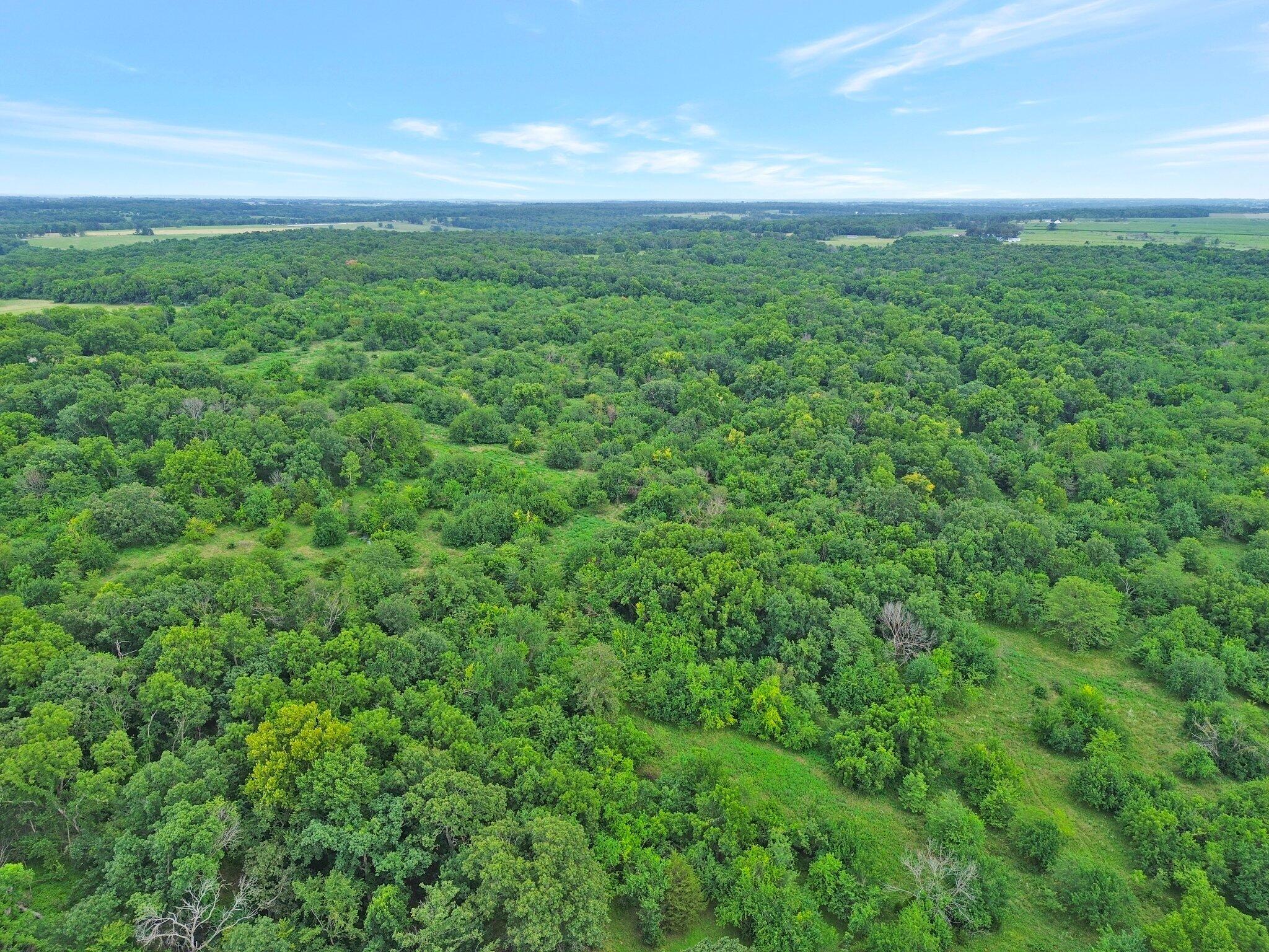 60329446 Property Photo 11