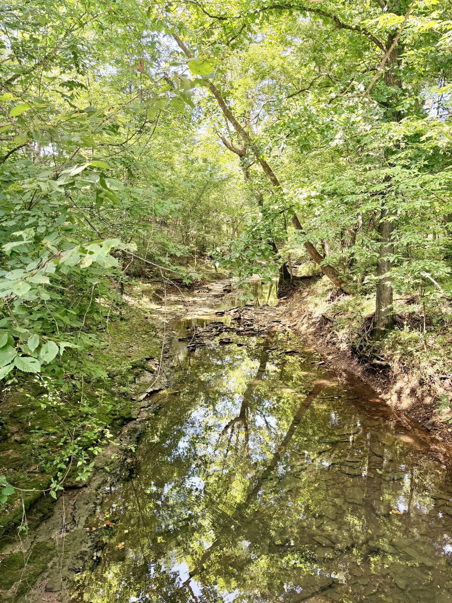 60329446 Property Photo 14