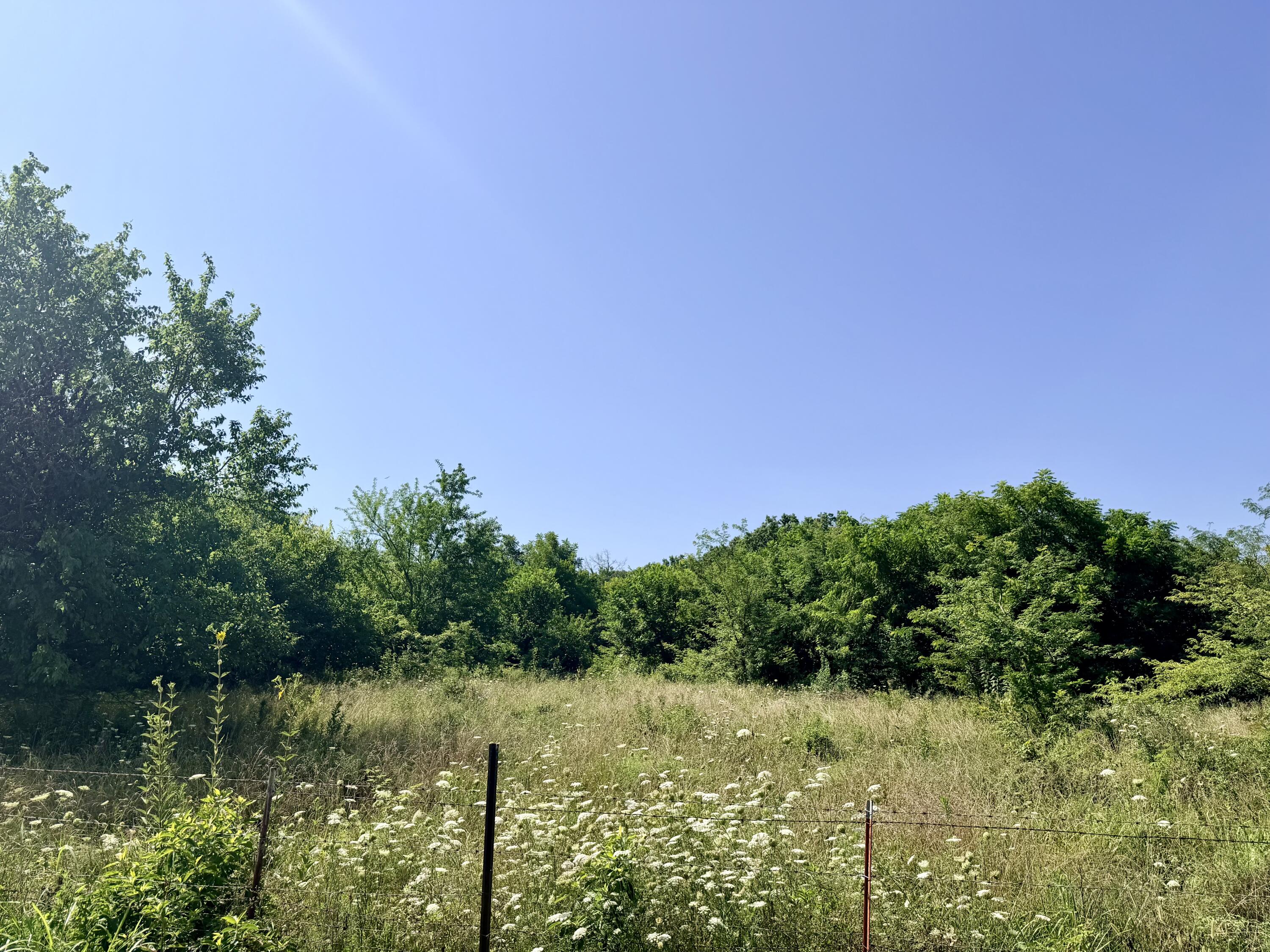 60329446 Property Photo 15