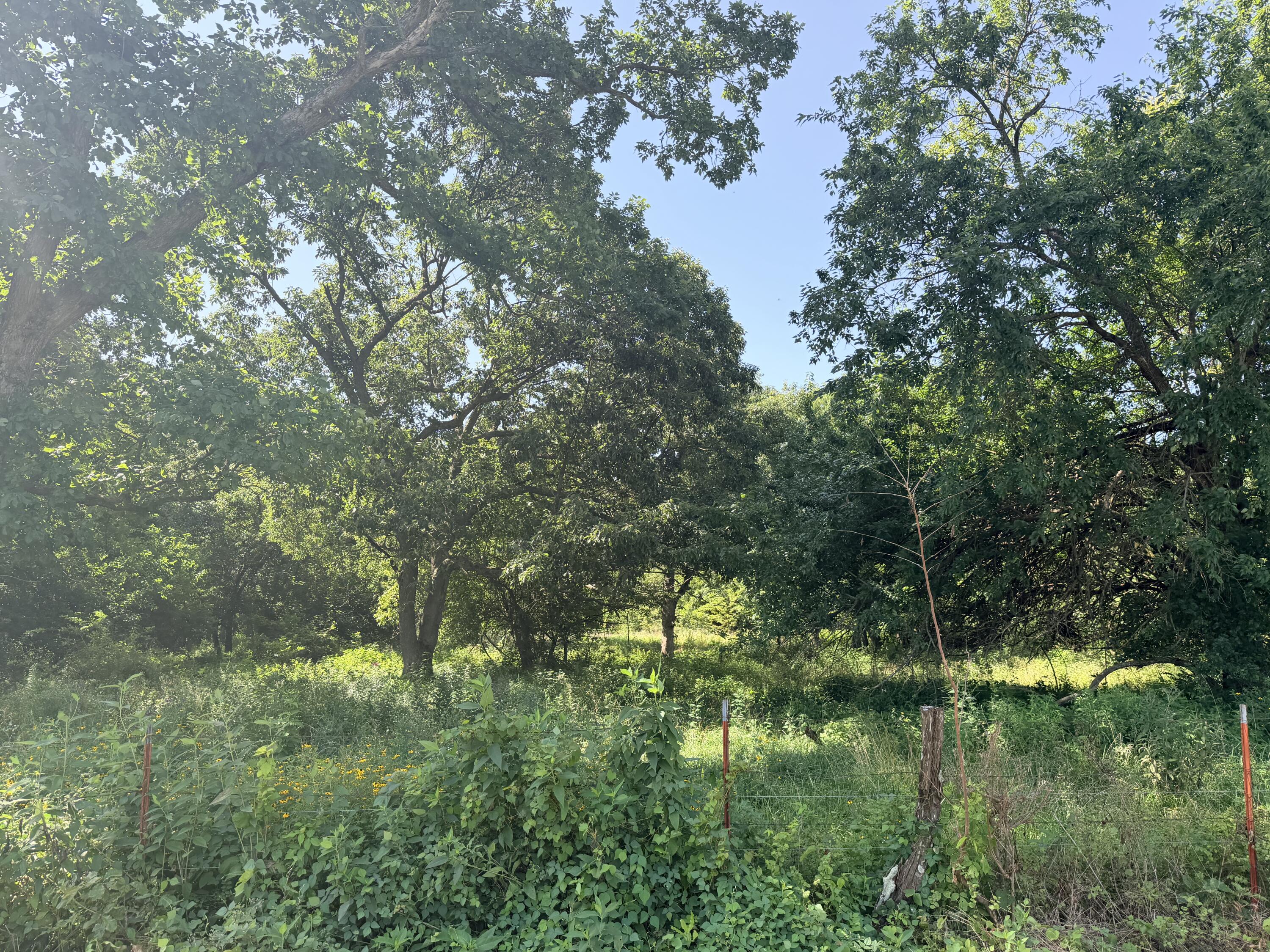 60329446 Property Photo 16