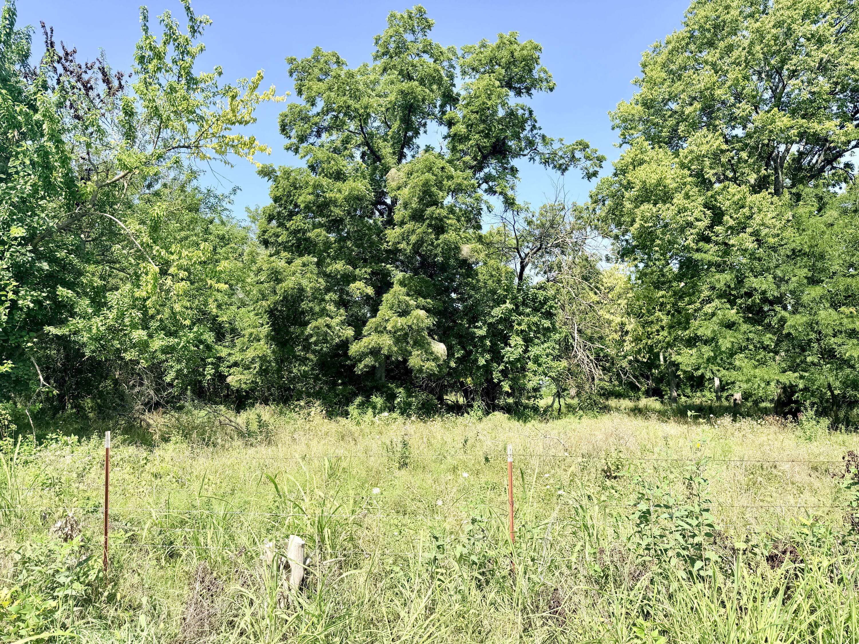 60329446 Property Photo 17