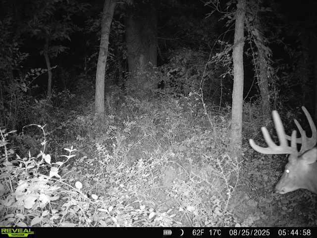 60329446 Property Photo 27