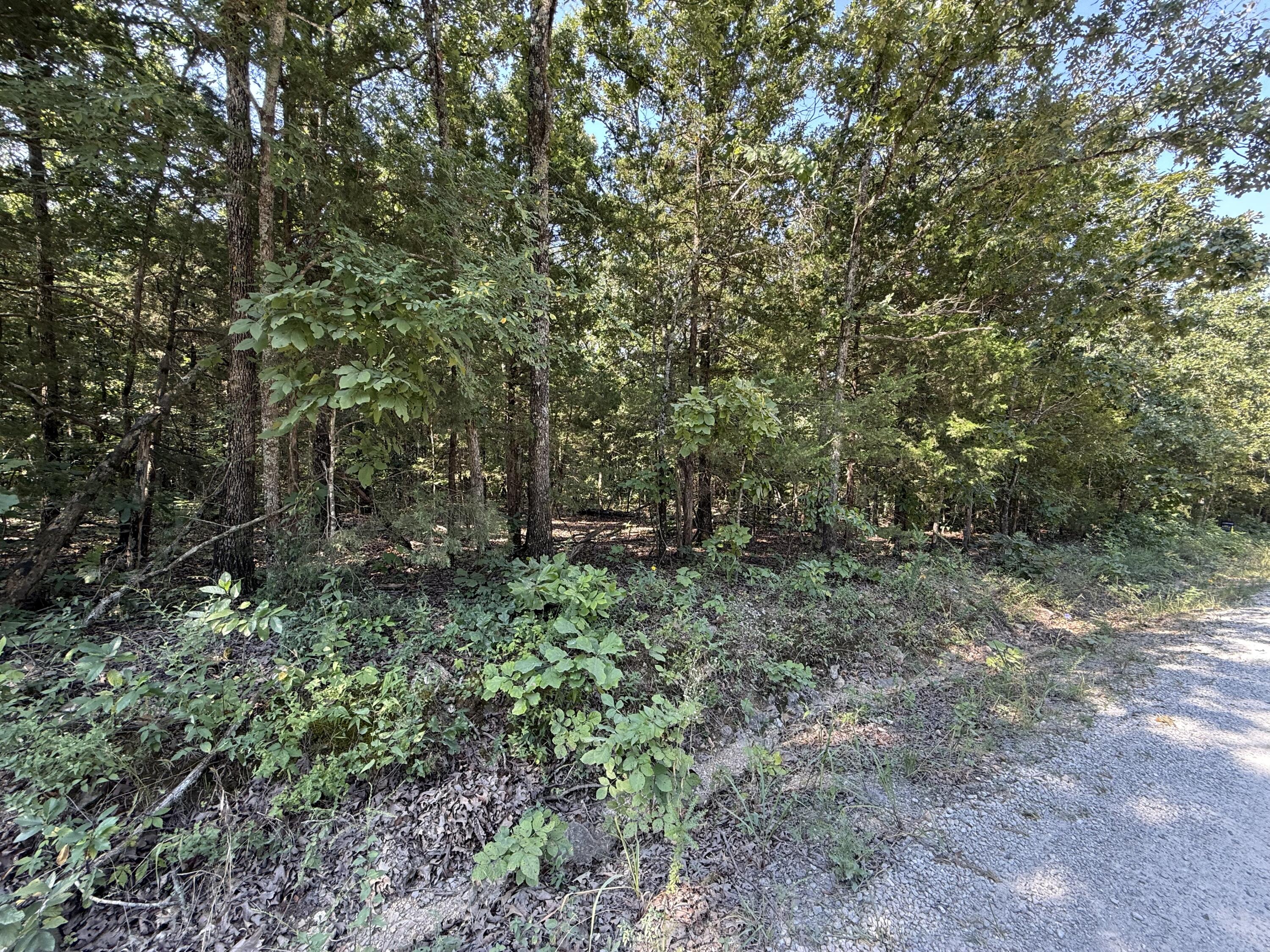 16 +- Ac Spring Valley Road Property Photo 5