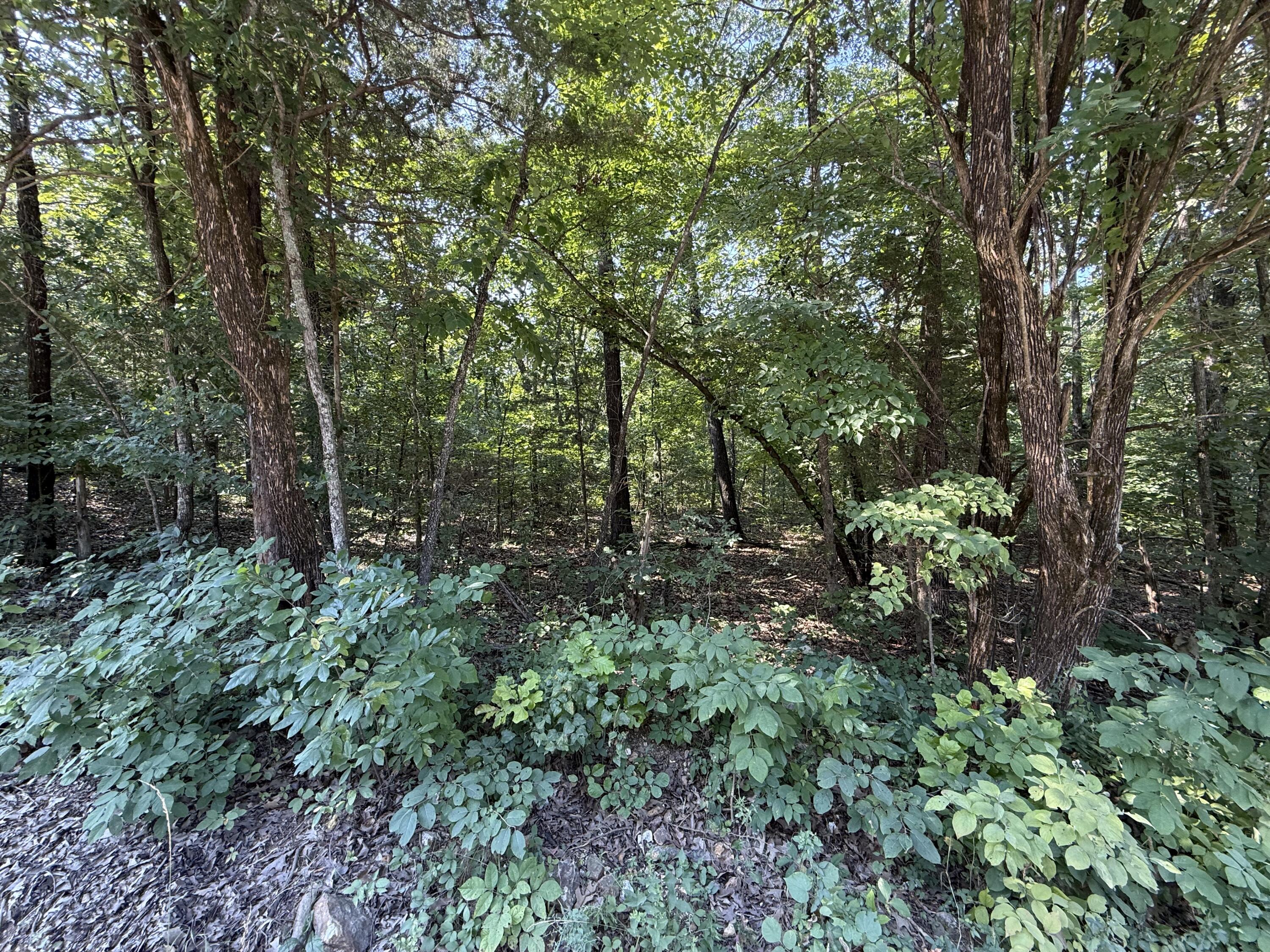 16 +- Ac Spring Valley Road Property Photo 8