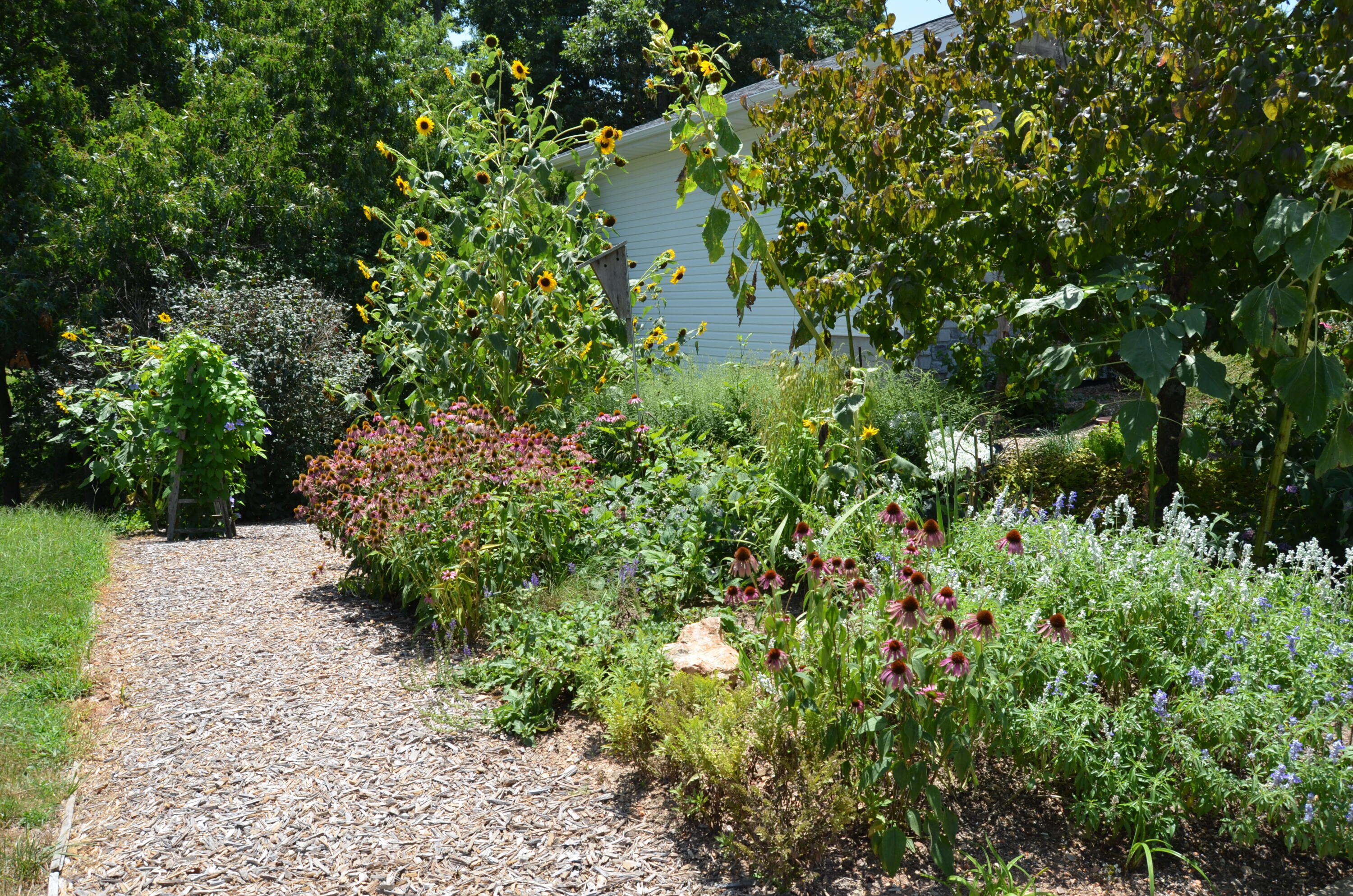 160 Micahs Xing Property Photo 35