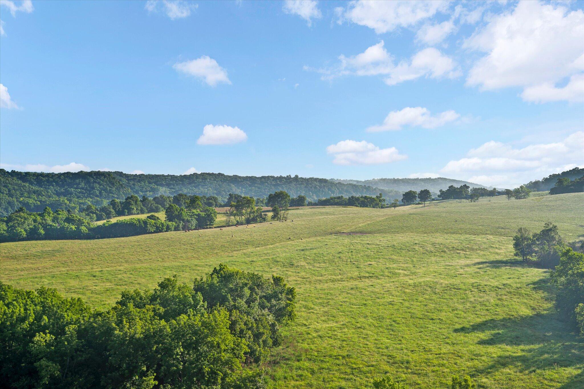 1094 Camp Clark Hill Property Photo 36