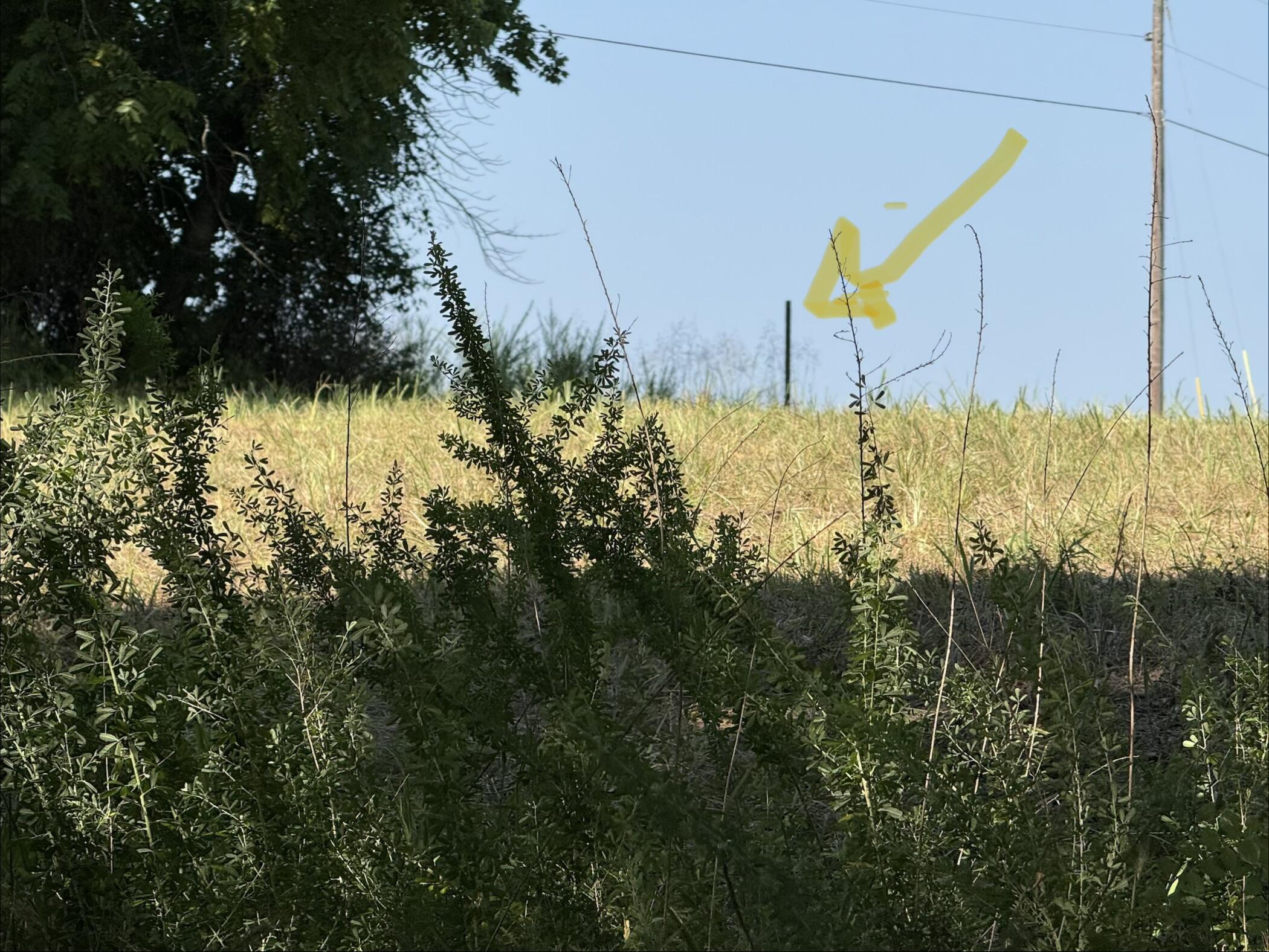 16+- Acres Spring Valley Road Property Photo 7