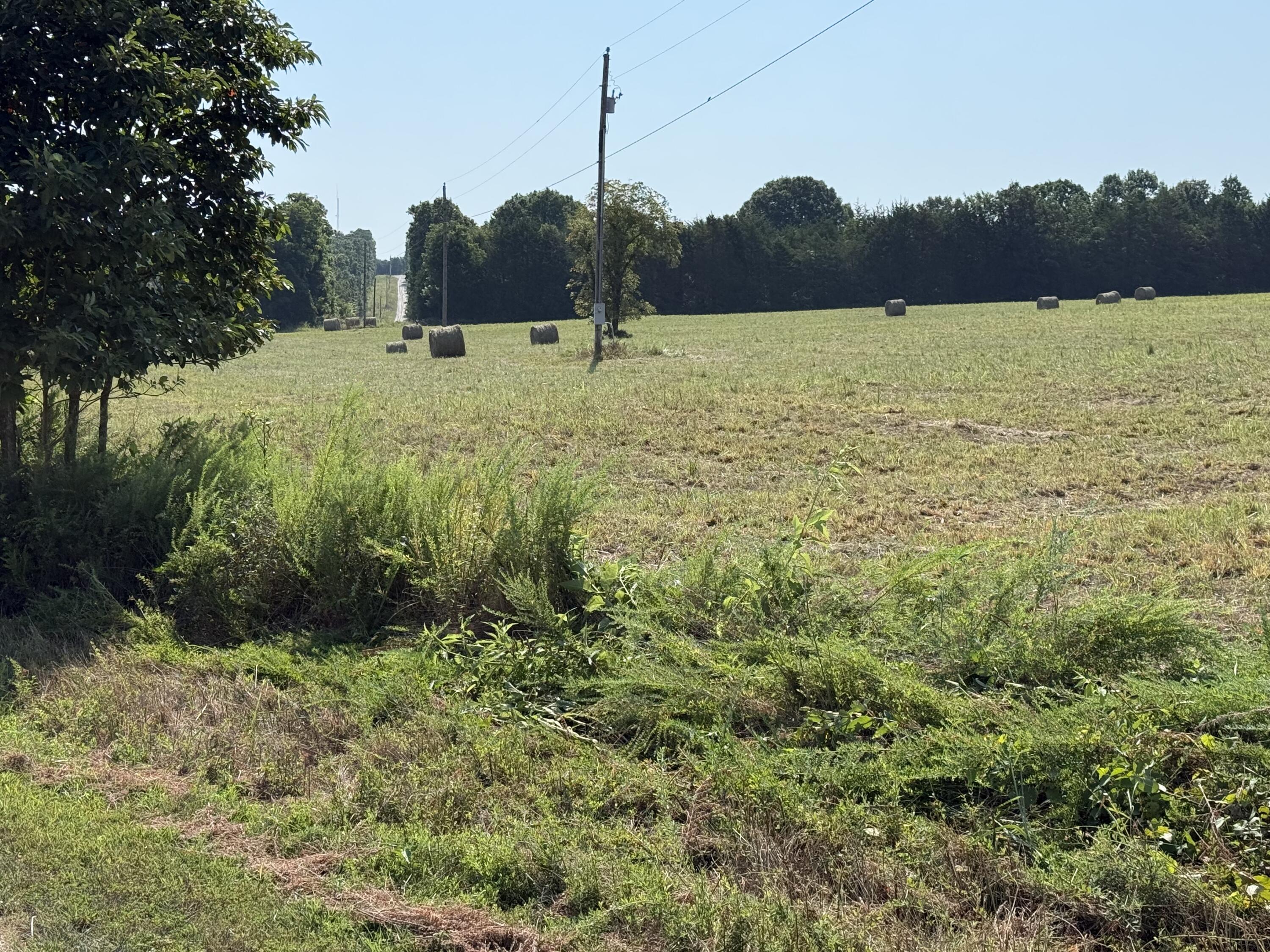 16+- Acres Spring Valley Road Property Photo 8