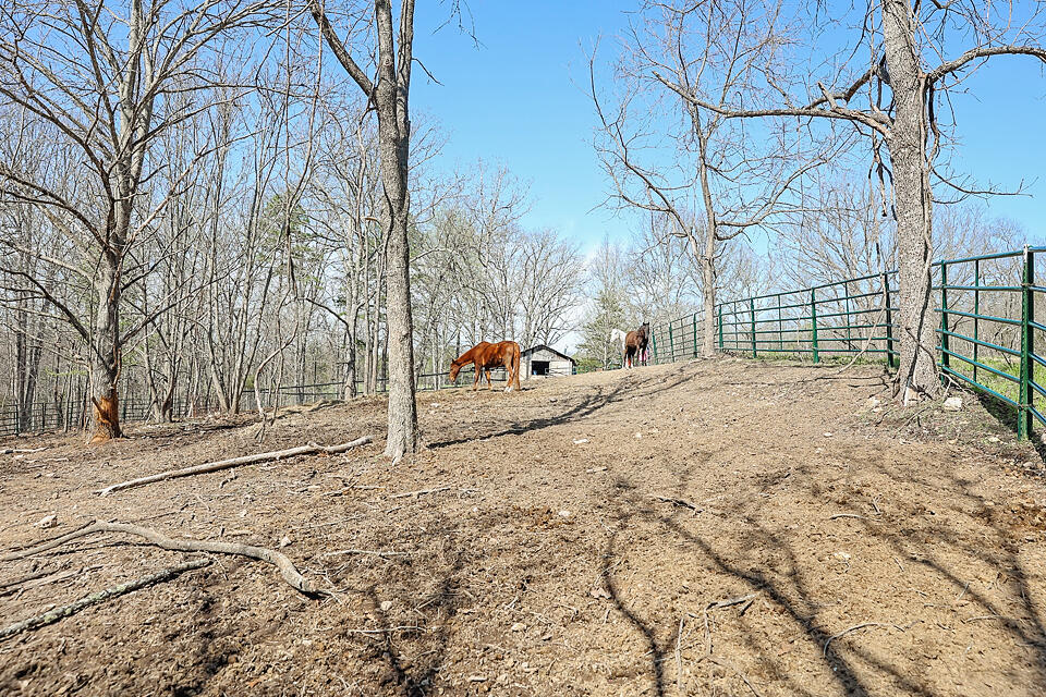 25598 County Road C-228 Property Photo 25