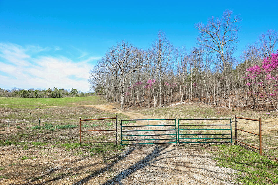 25598 County Road C-228 Property Photo 26