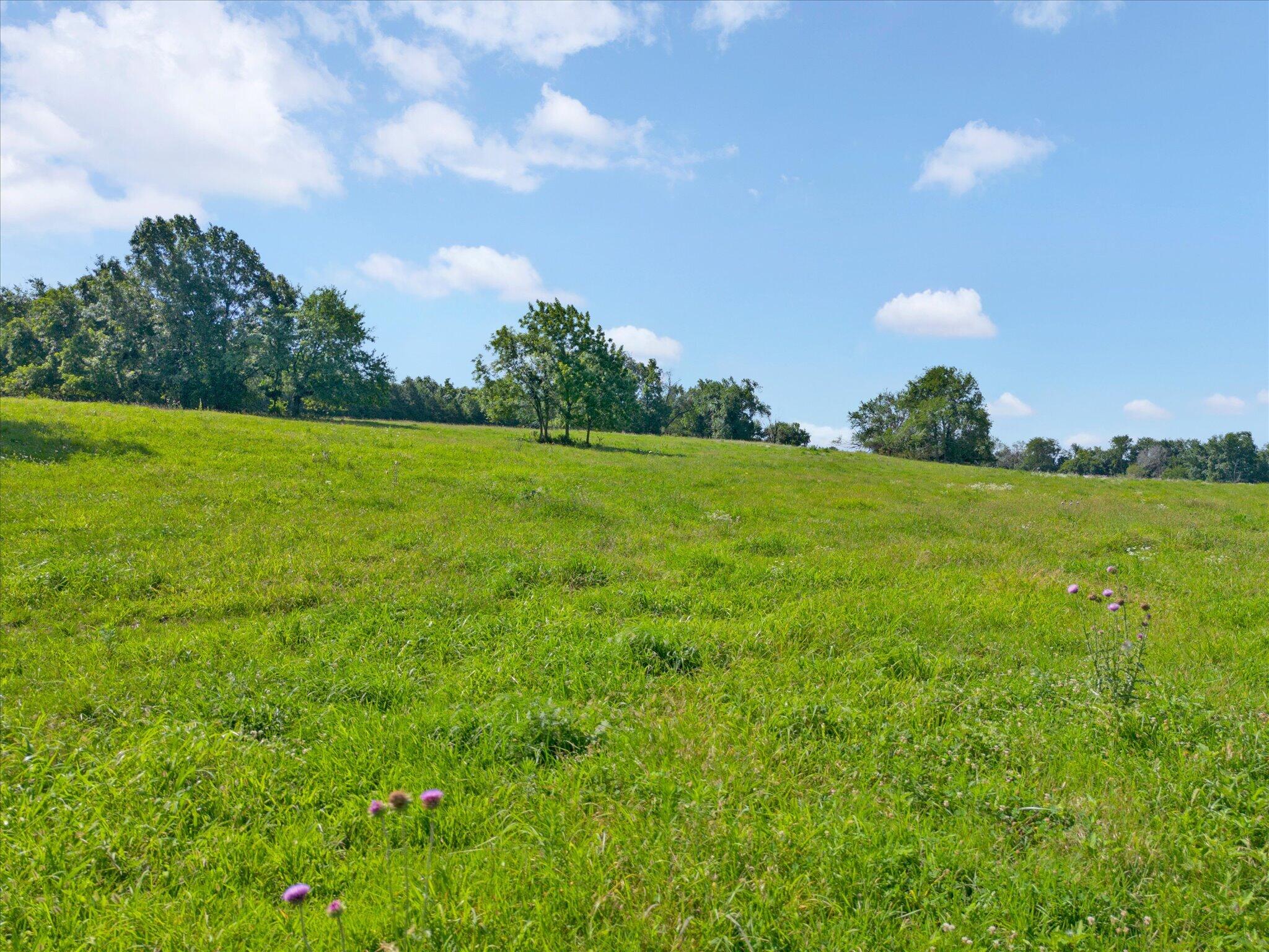 000 North Hwy 123 Road Property Photo 16