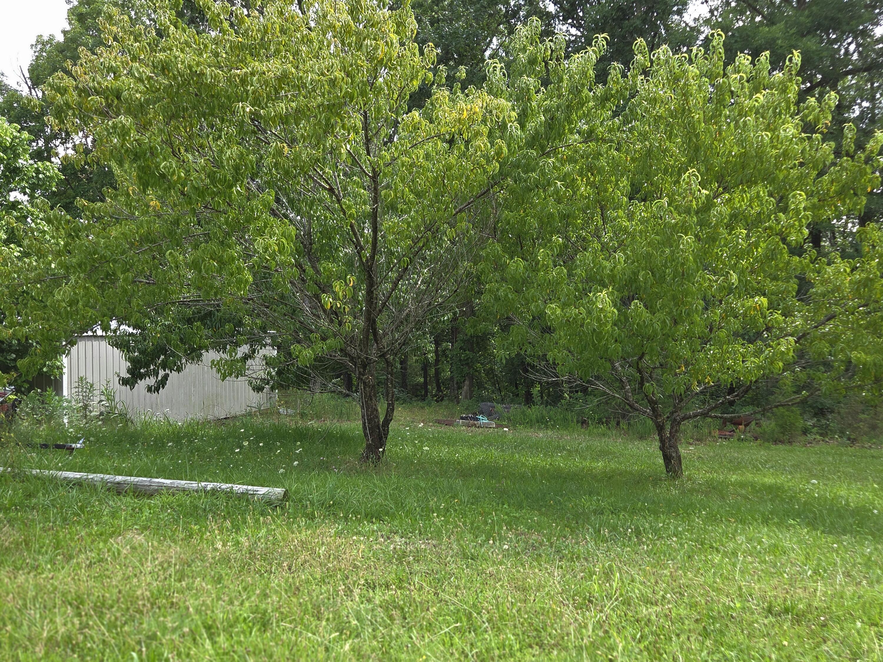 1306 State Highway 32 Property Photo 6