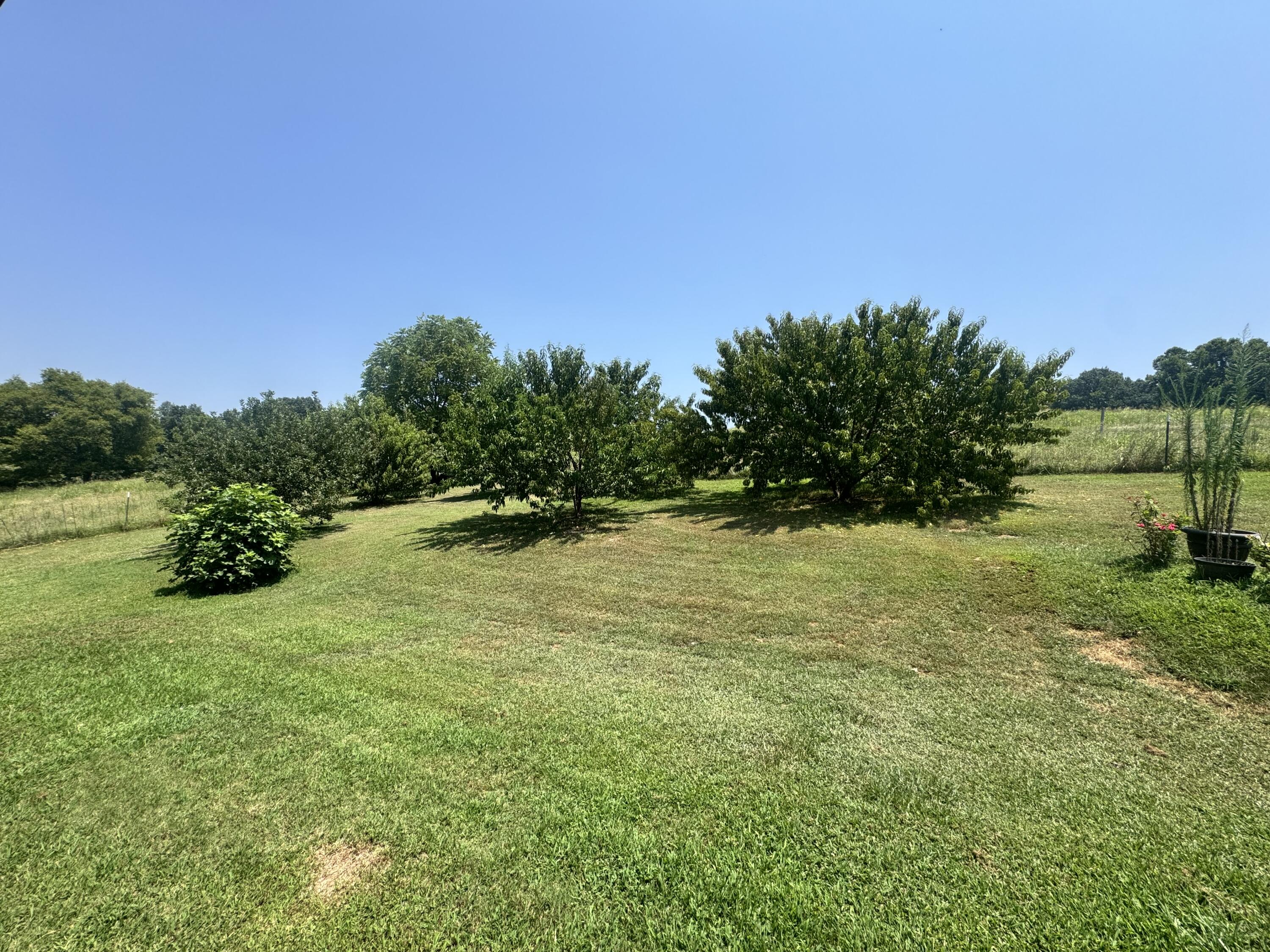 7382 Route Ee Highway Property Photo 26