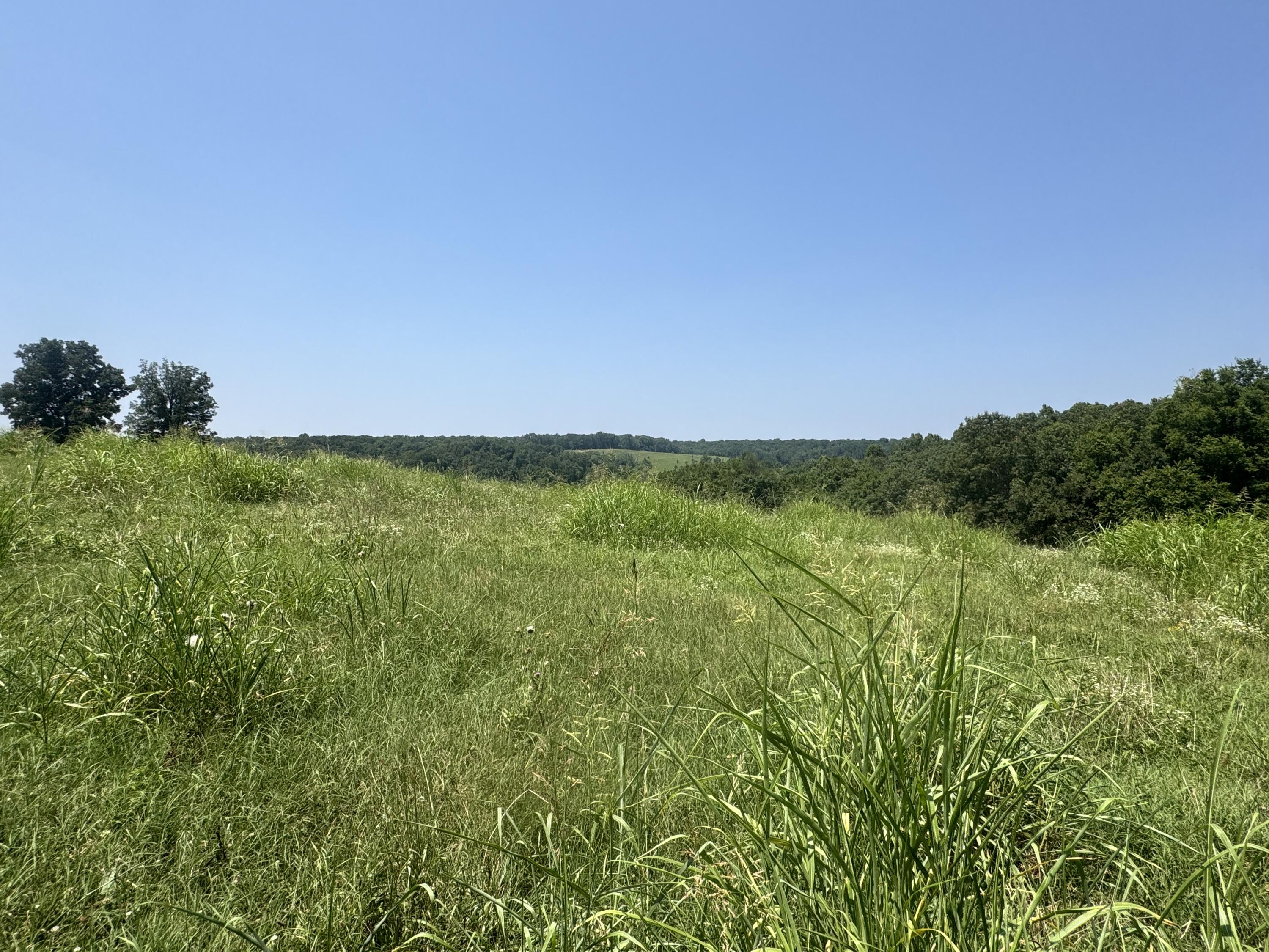 7382 Route Ee Highway Property Photo 29