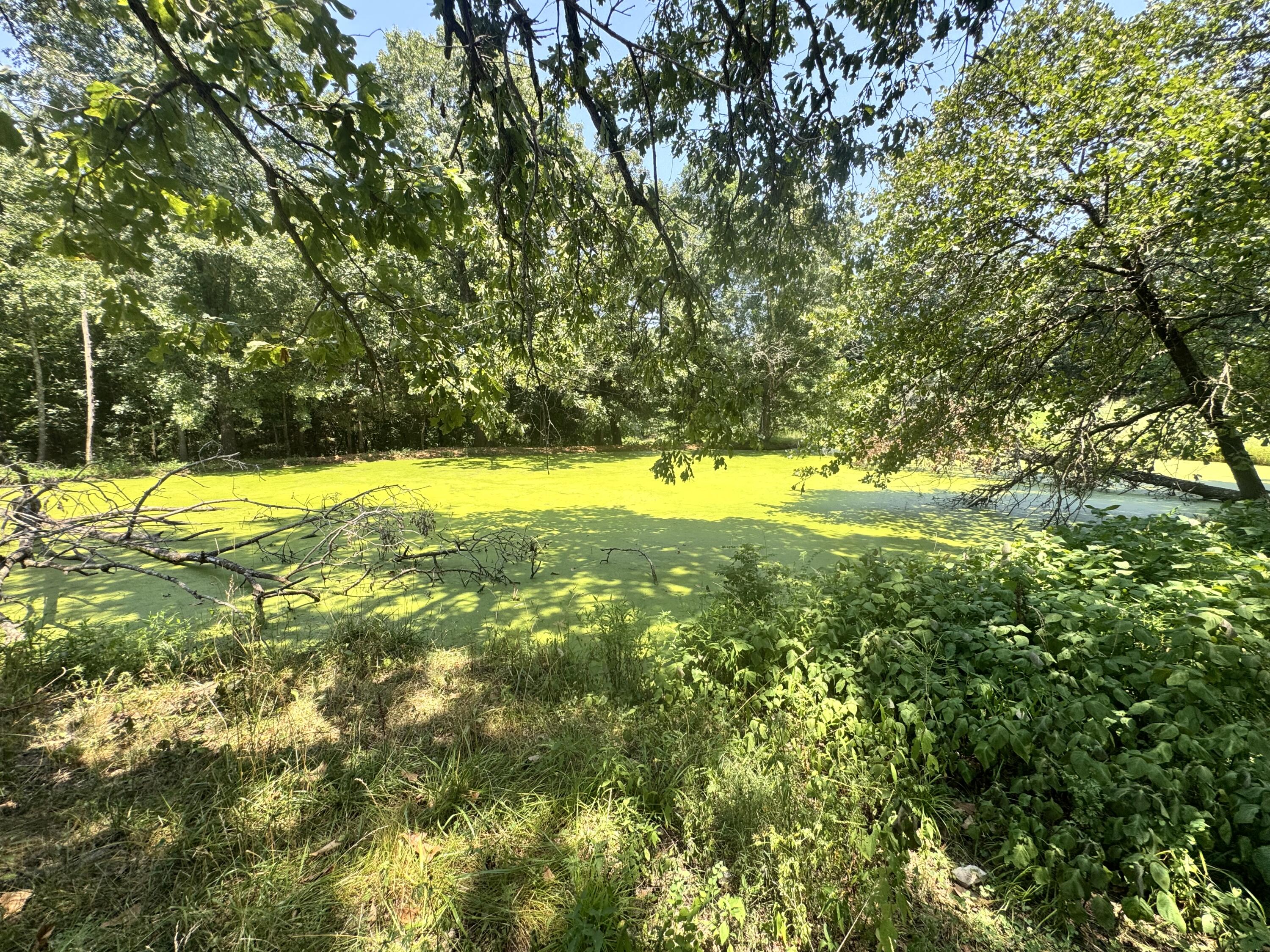 7382 Route Ee Highway Property Photo 30