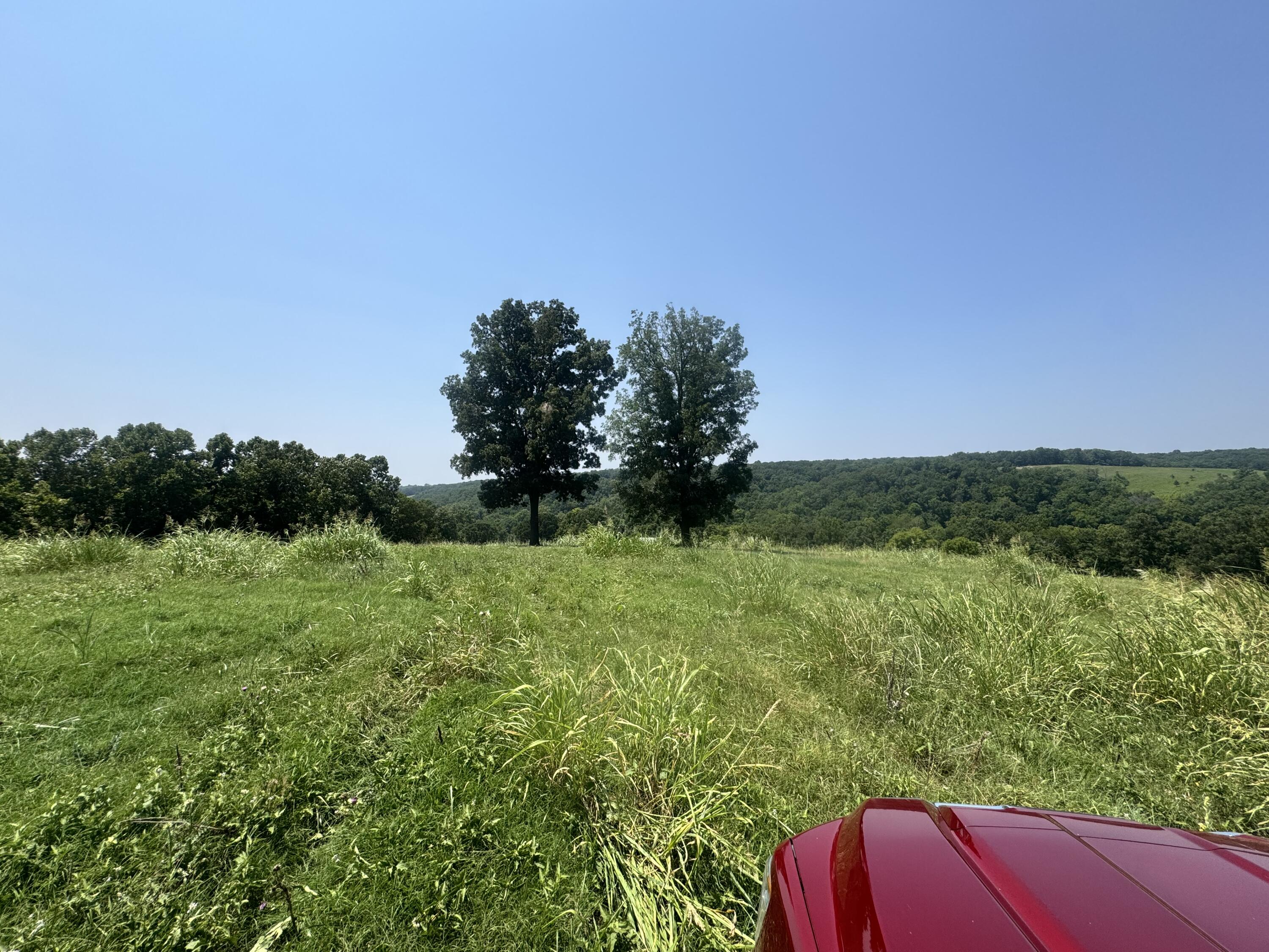 7382 Route Ee Highway Property Photo 31