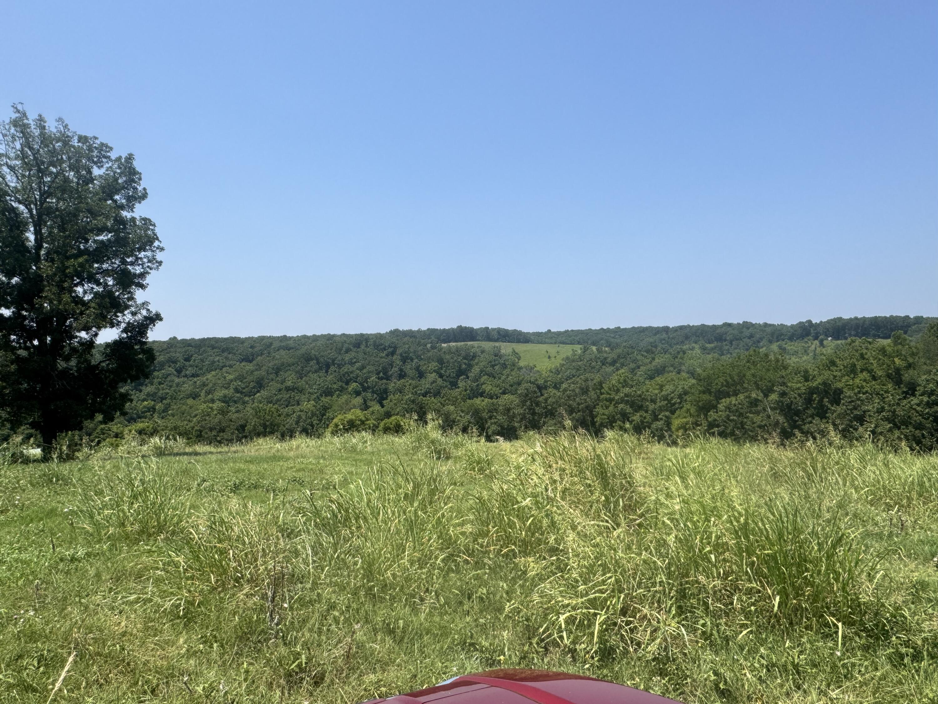 7382 Route Ee Highway Property Photo 32